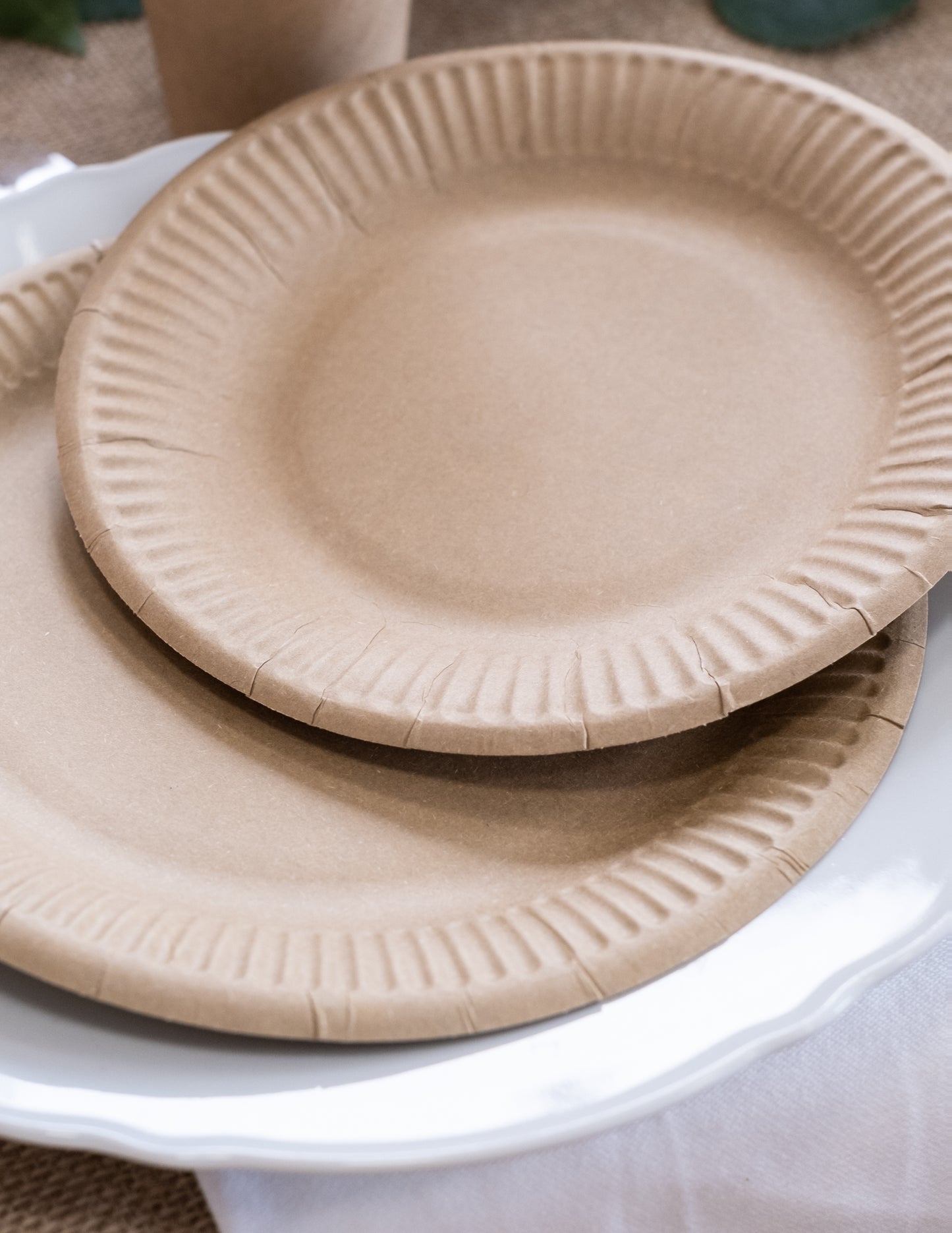 10 majhnih kartonskih plošč Kraft 18 cm