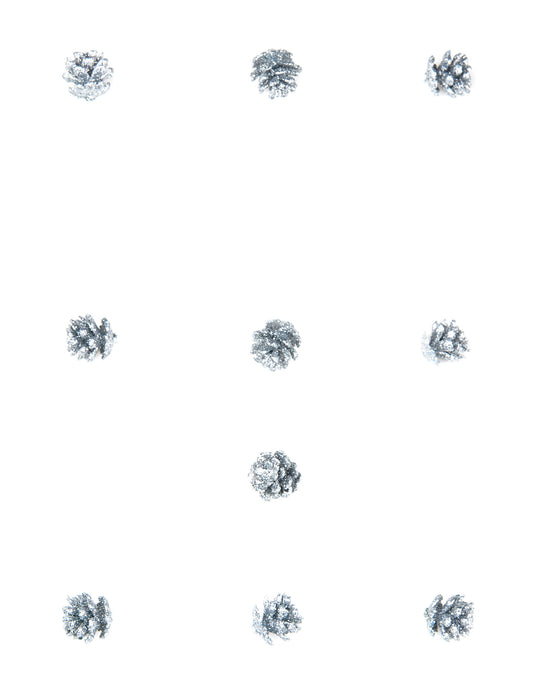 Vue d'ensemble des 10 mini pommes de pin pailletées de Noël argentées