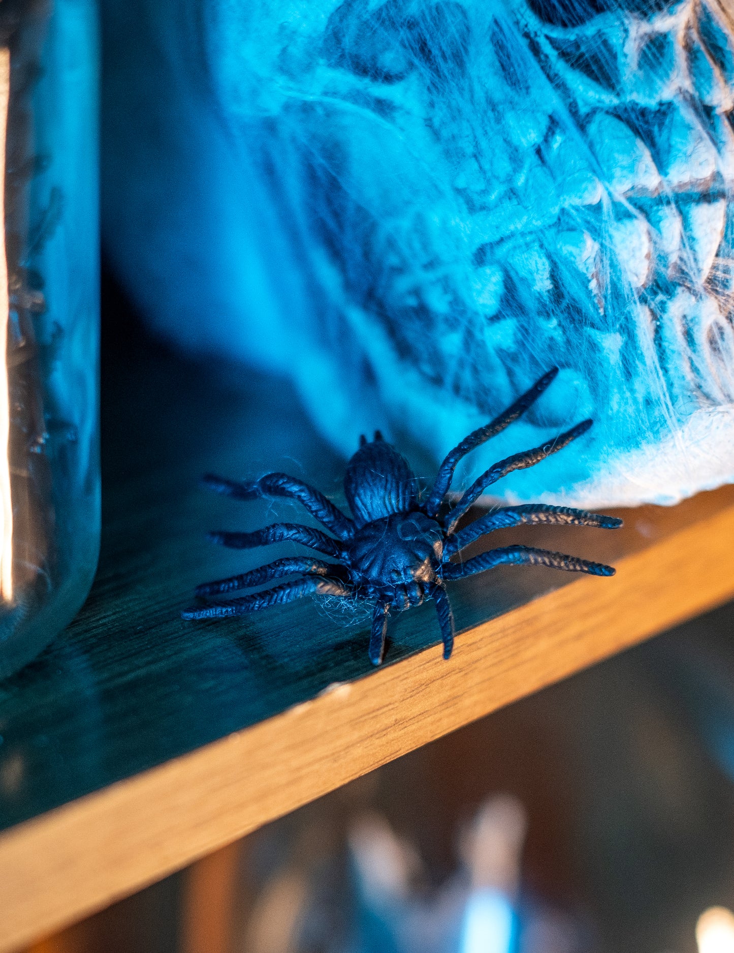 12 pajkov za noč čarovnic