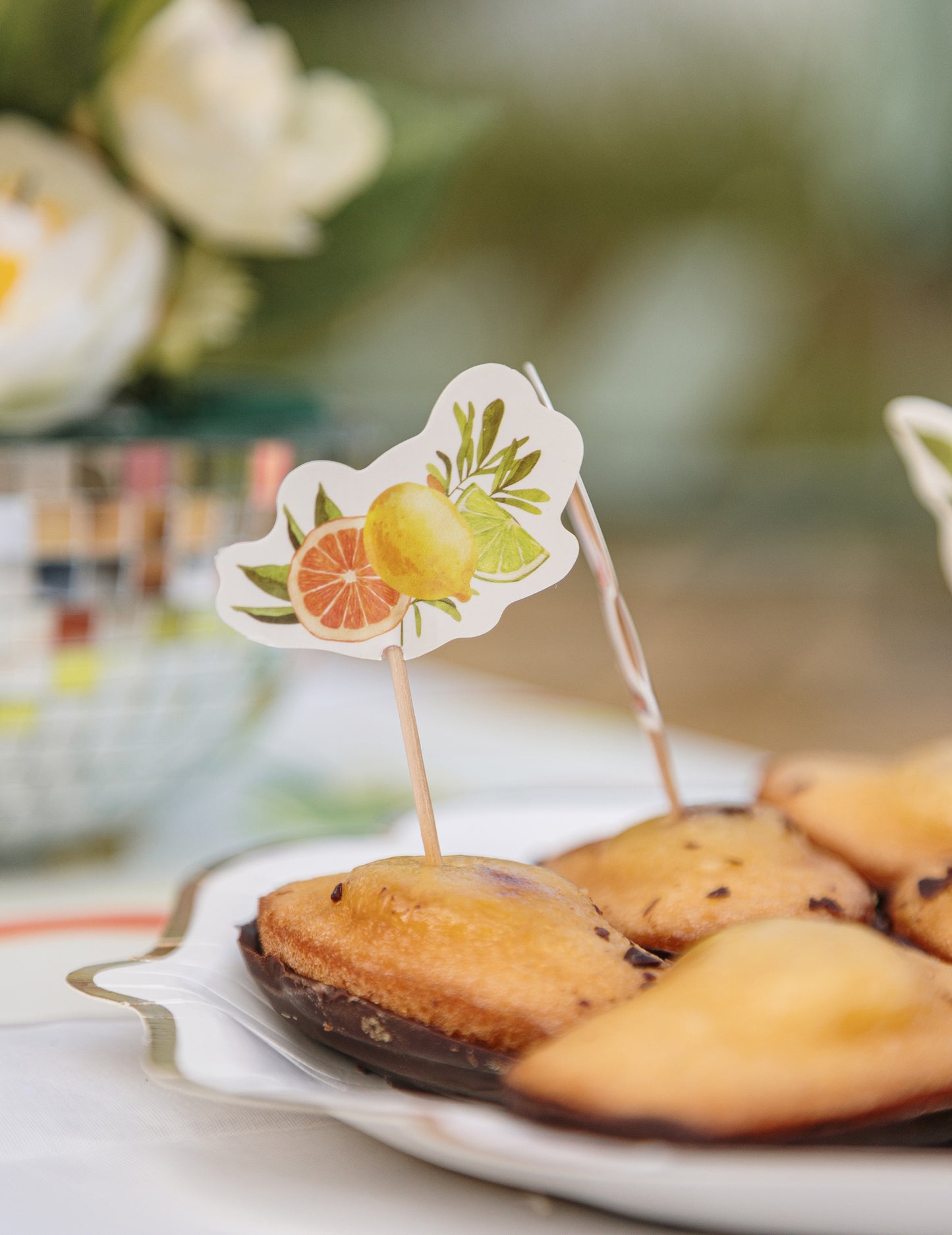 12 citrusnih penastih palčk v kremnem, oranžnem in rumenem papirju za koktajle