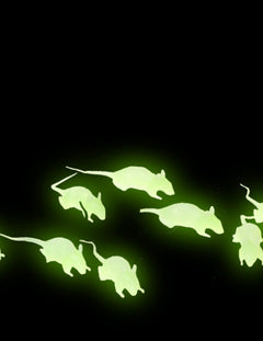 Fluorescentna dekoracija