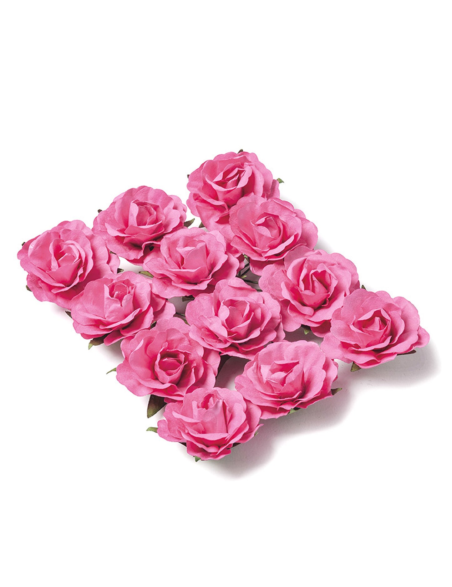 12 Fuchsia