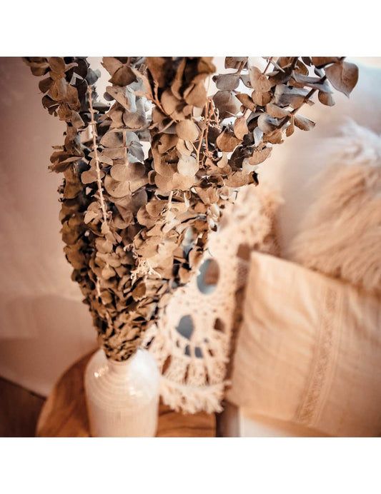 Gros plan sur les feuilles de l'eucalyptus séché décoration mariage