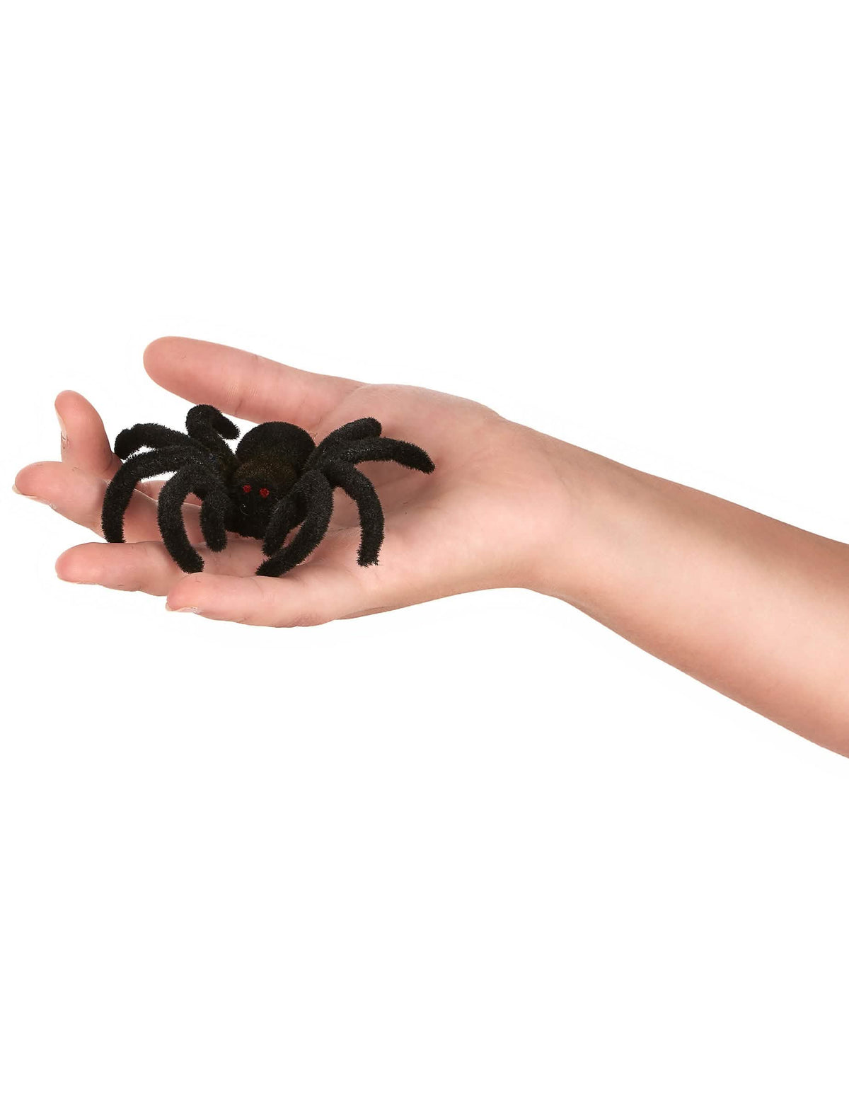 Postavitev v roko pajkov halloween za dekoracijo