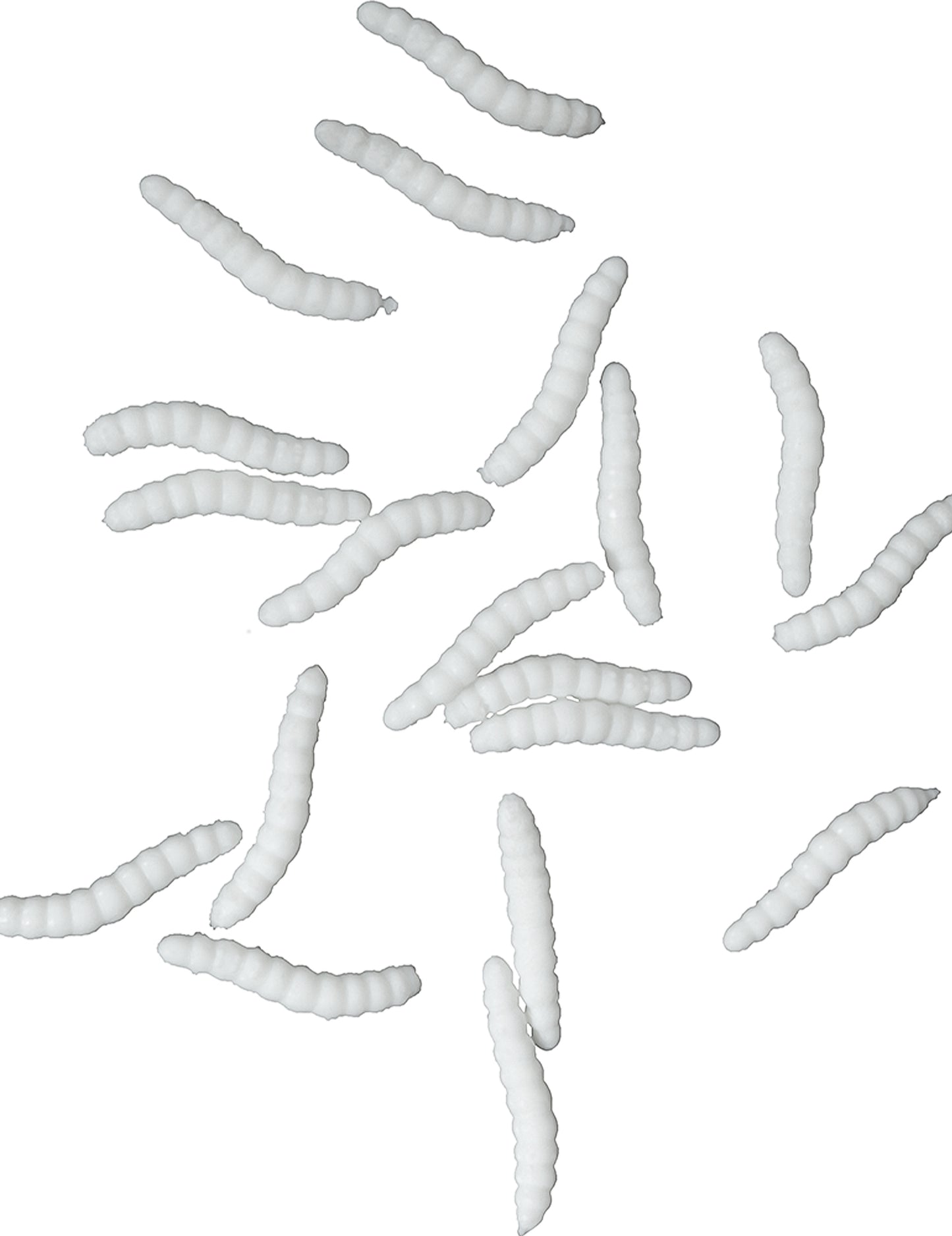 20 bele lutke astikoti 4 cm