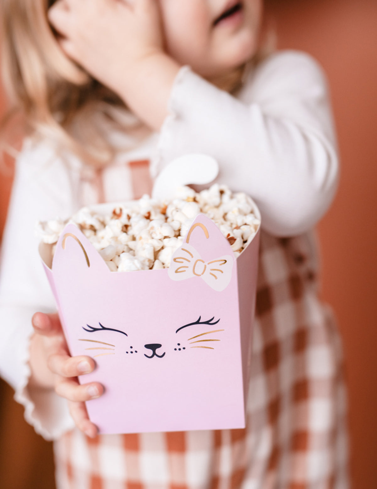 Mise en situation des boîtes pour snack chatons