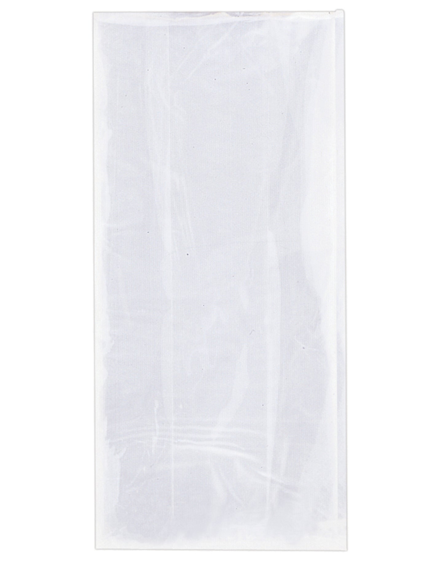 30 plastičnih živilskih vrečk 13 x 30 cm s priloženimi vezicami