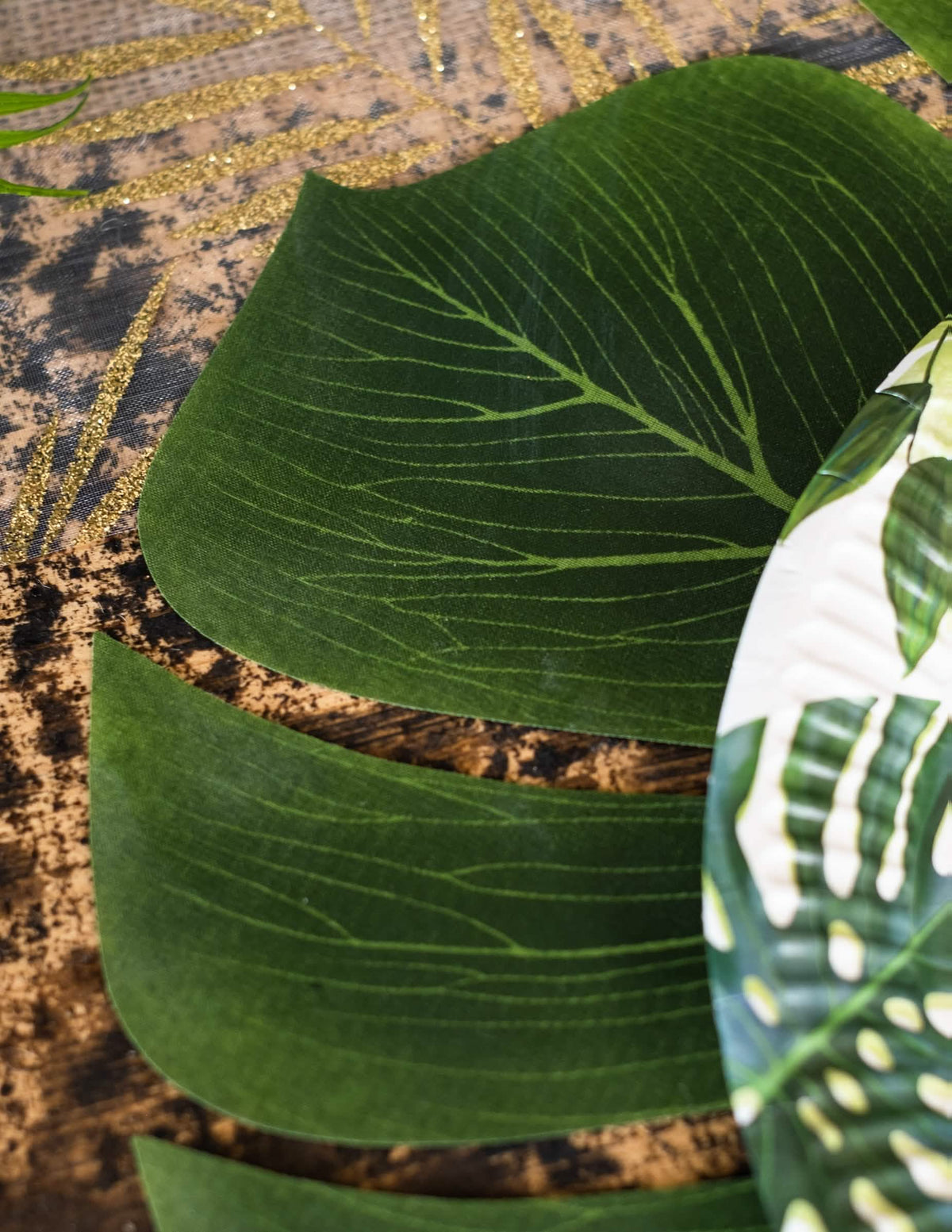 Podrobnost rebraste teksture kompleta 4 listov Monstera za dekoracijo zabave