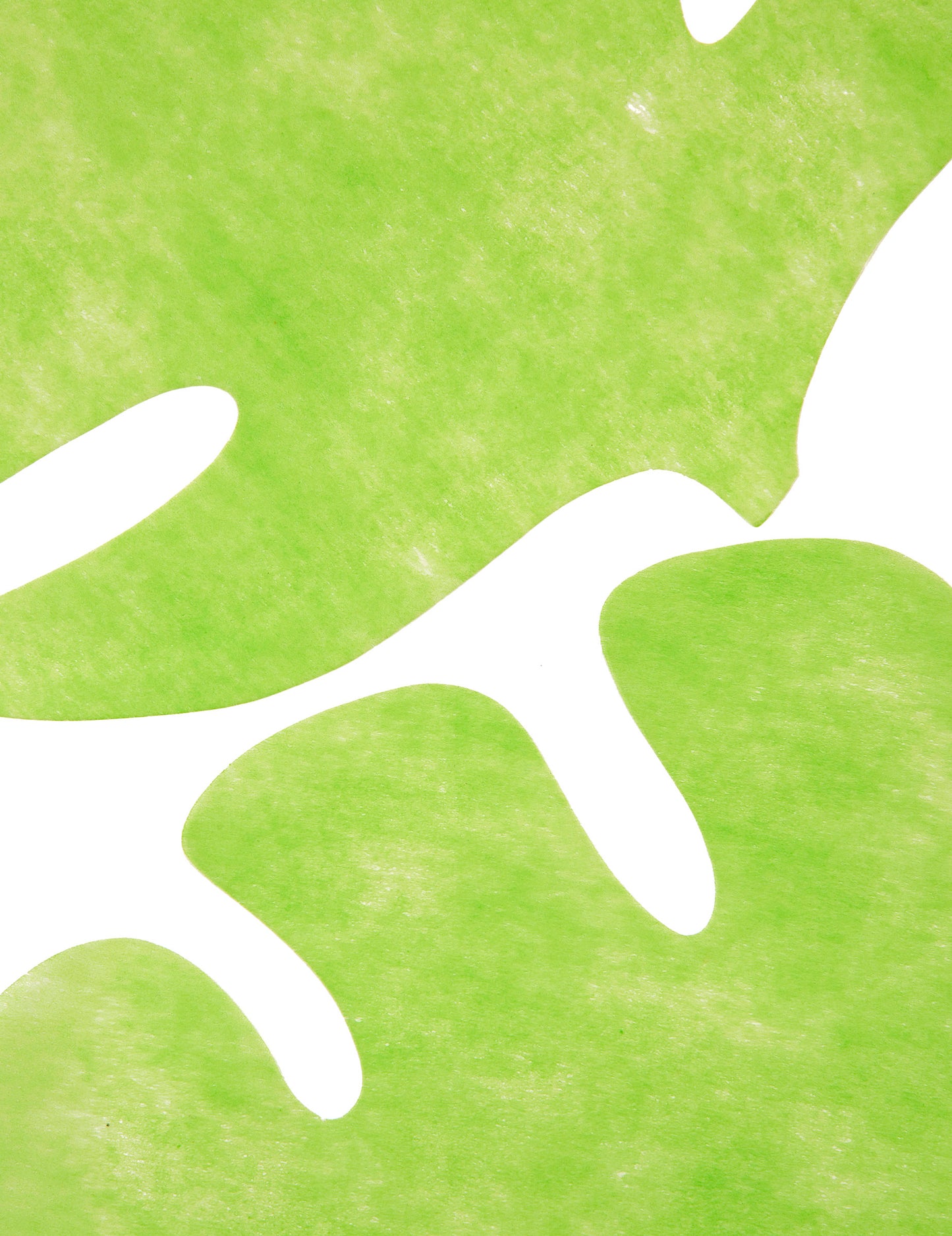 4 namizni kompleti v obliki zelenega listnega janeža 35 x 40 cm