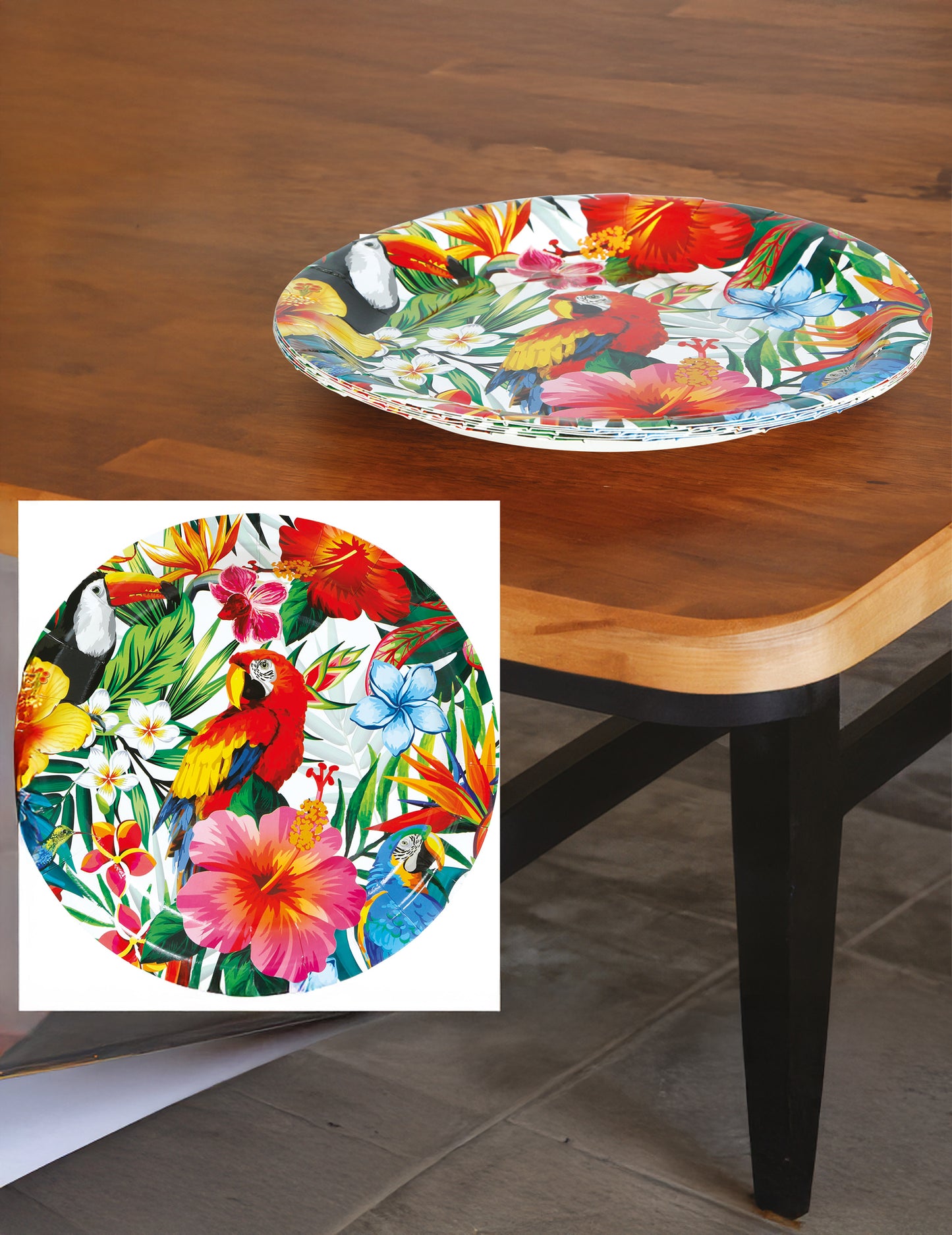 6 Assiettes oiseaux tropicaux 23 cm