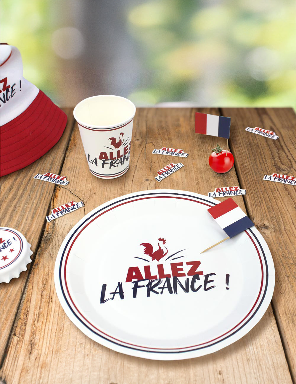 6 kartonskih plošč "Go France" 23 cm