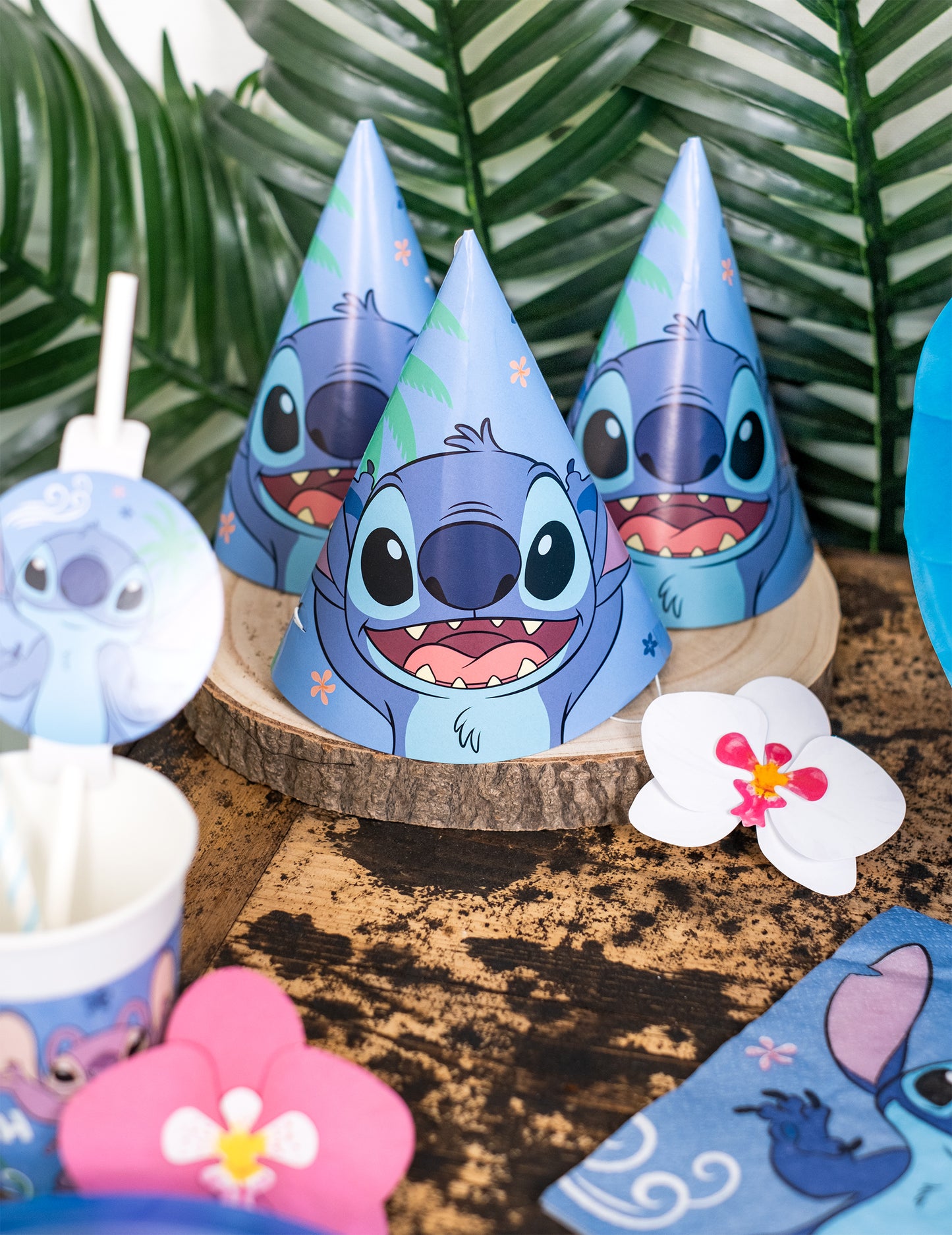 6 Stitch Party kape