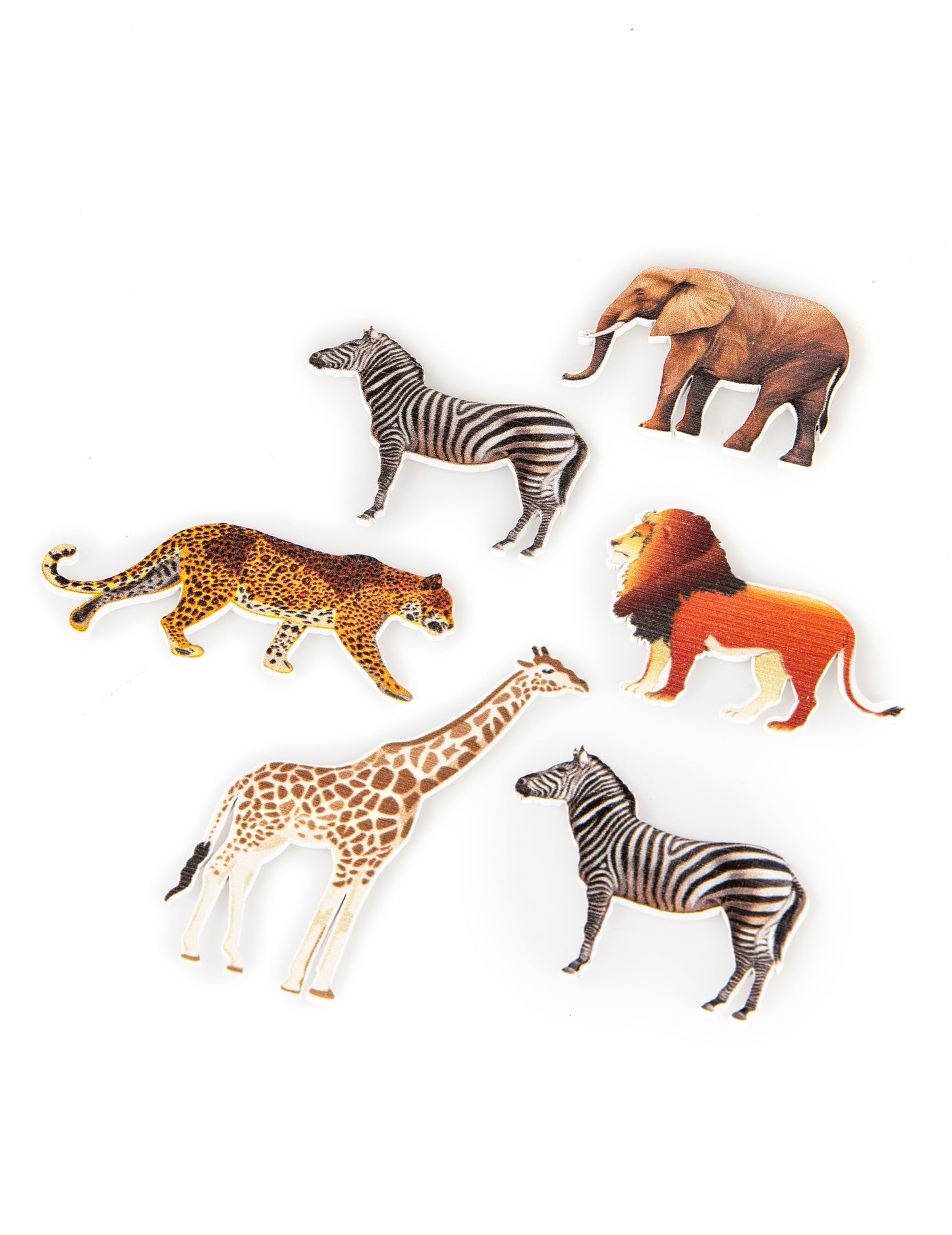 6 Tabela Konfeti živali savane 7,5 x 5,5 cm