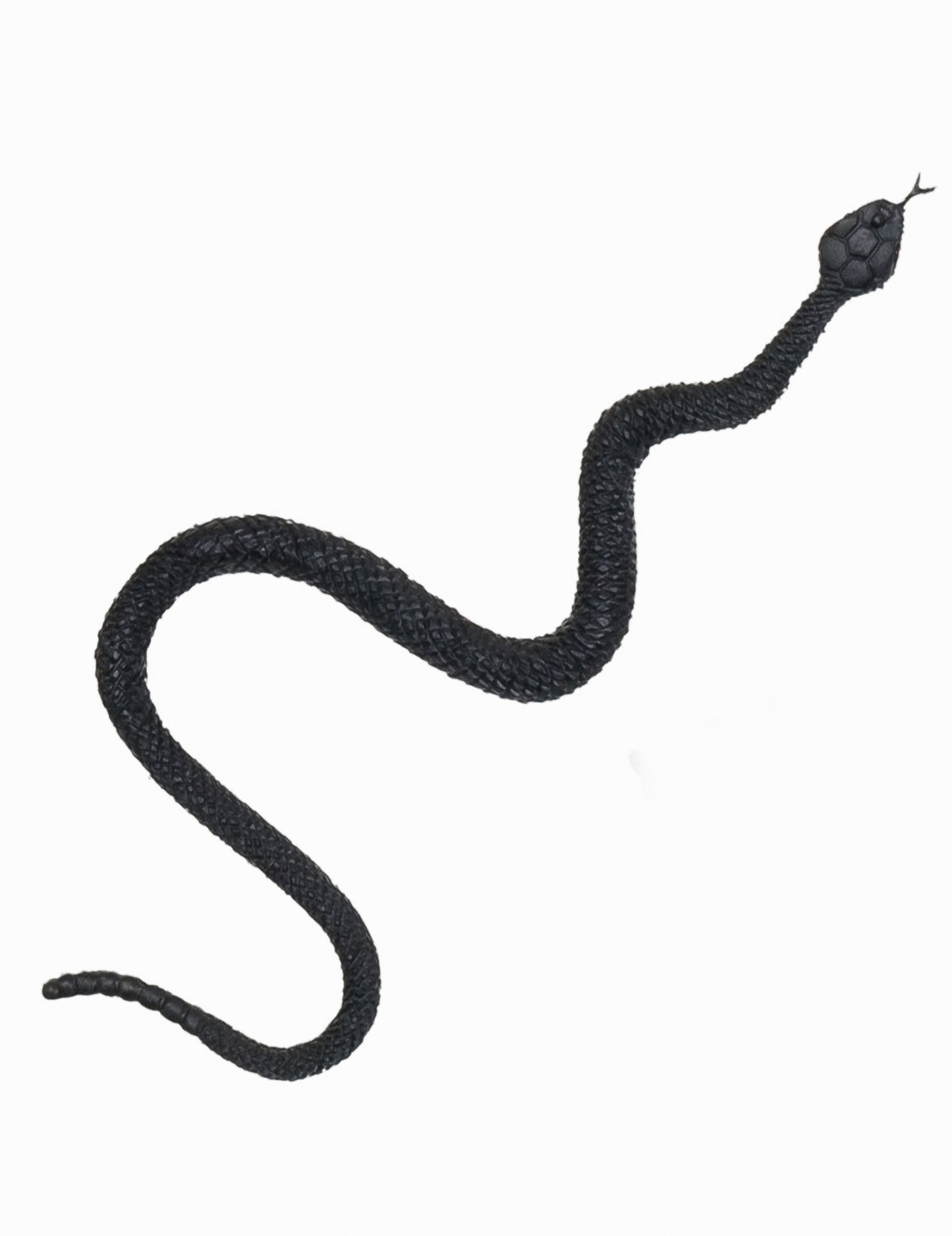 6 okraskov Majhna bitja za noč čarovnic