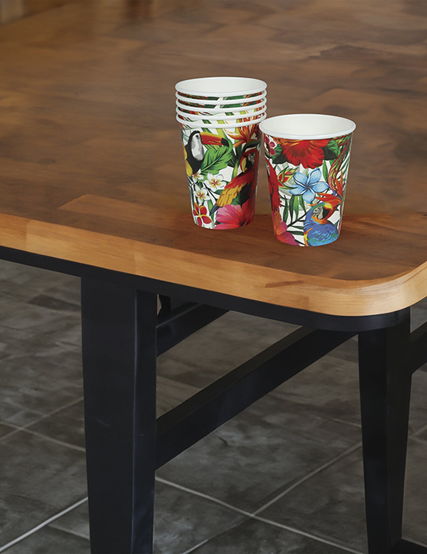 6 tropskih ptičjih skodelic 240 ml