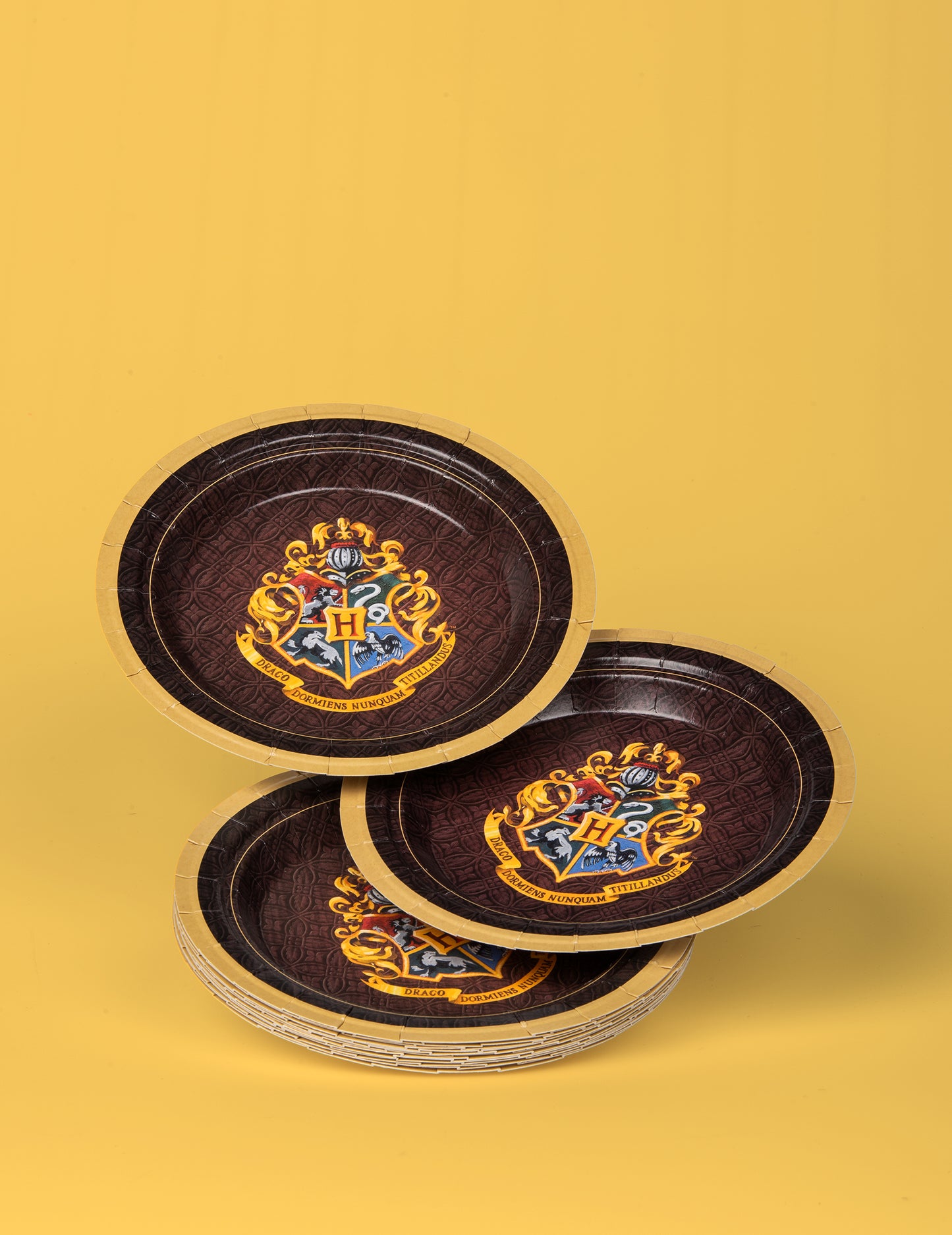 8 majhnih kartonskih krožnikov Harry Potter 18 cm