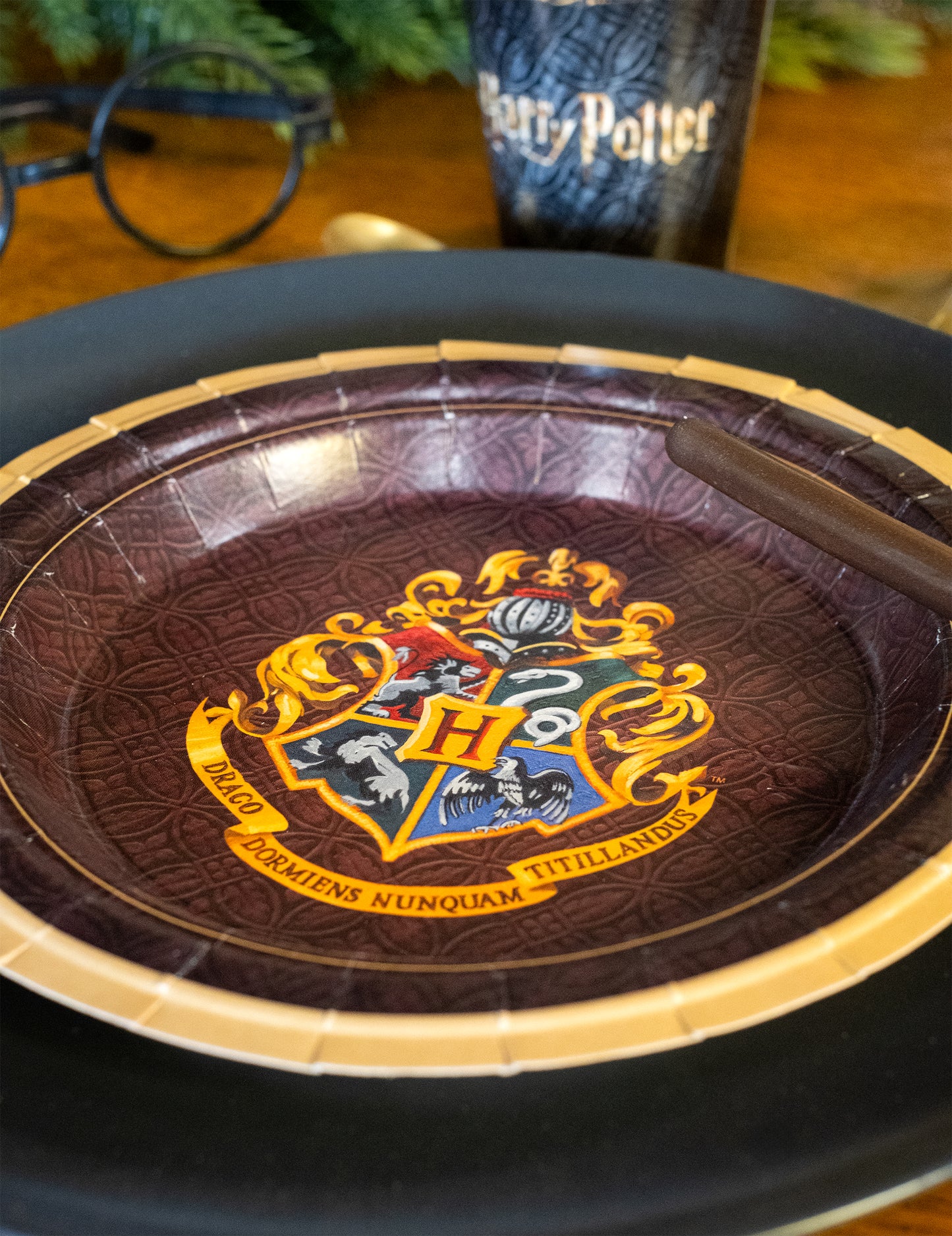 8 majhnih kartonskih krožnikov Harry Potter 18 cm