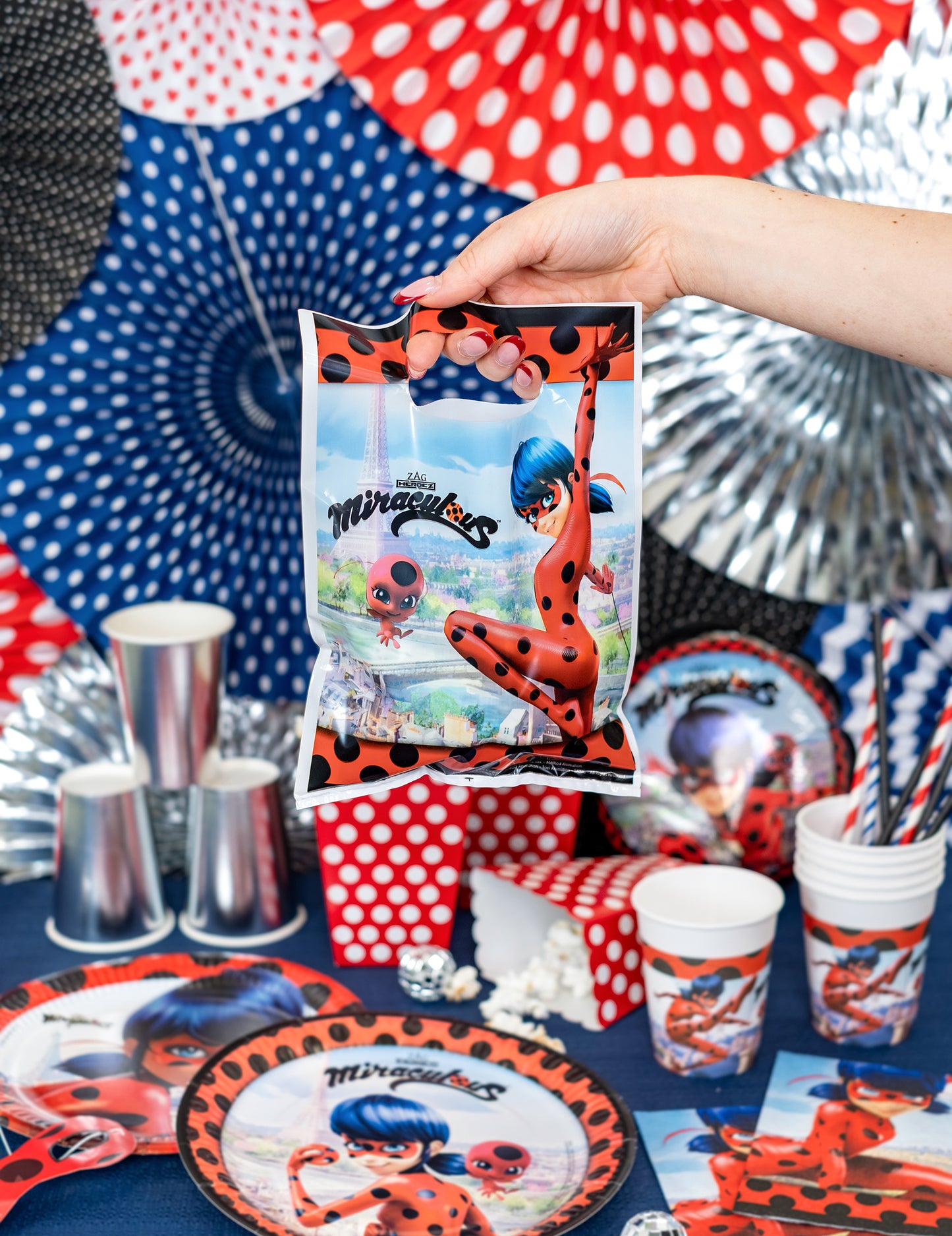 8 Ladybug 16,5 x 23 cm darilne vrečke