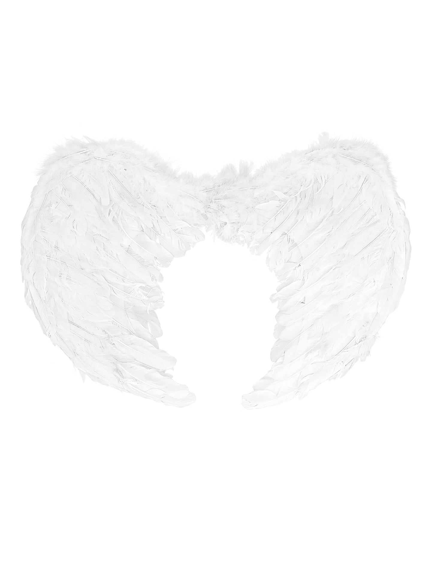 White Angel Wings 60 x 40 cm