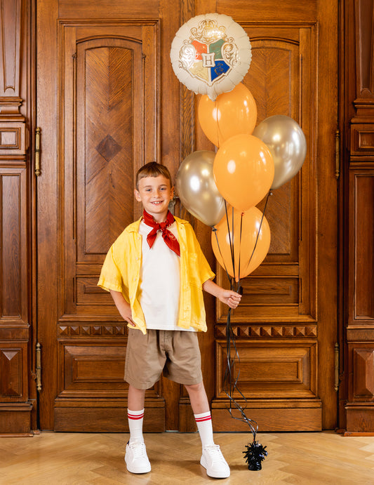 Folija balon Harry Potter™ Grb Bradavičarke 35 cm
