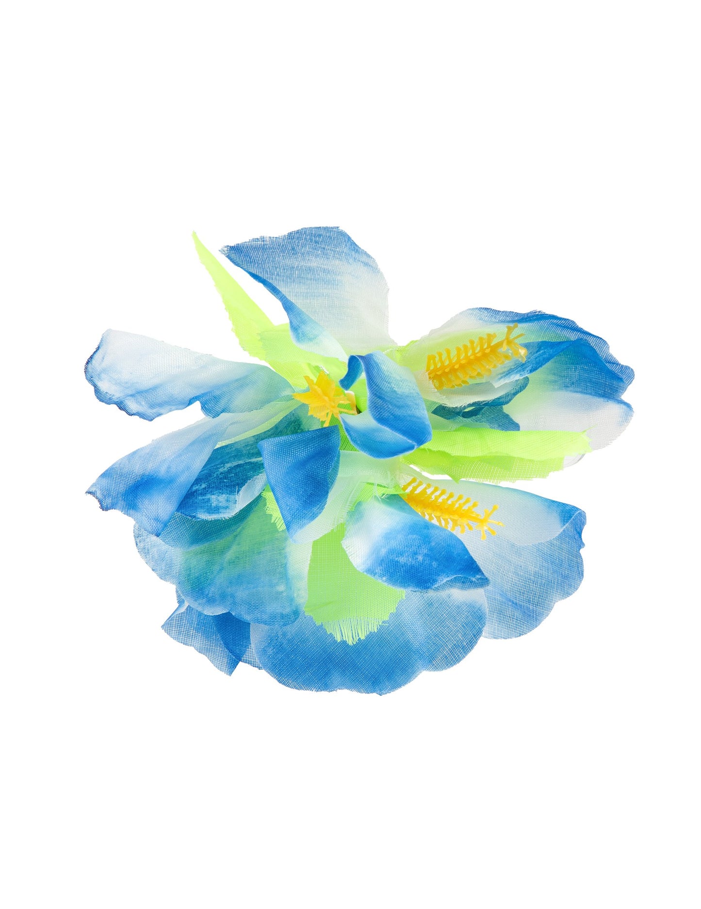 Havajski modri cvetni bar