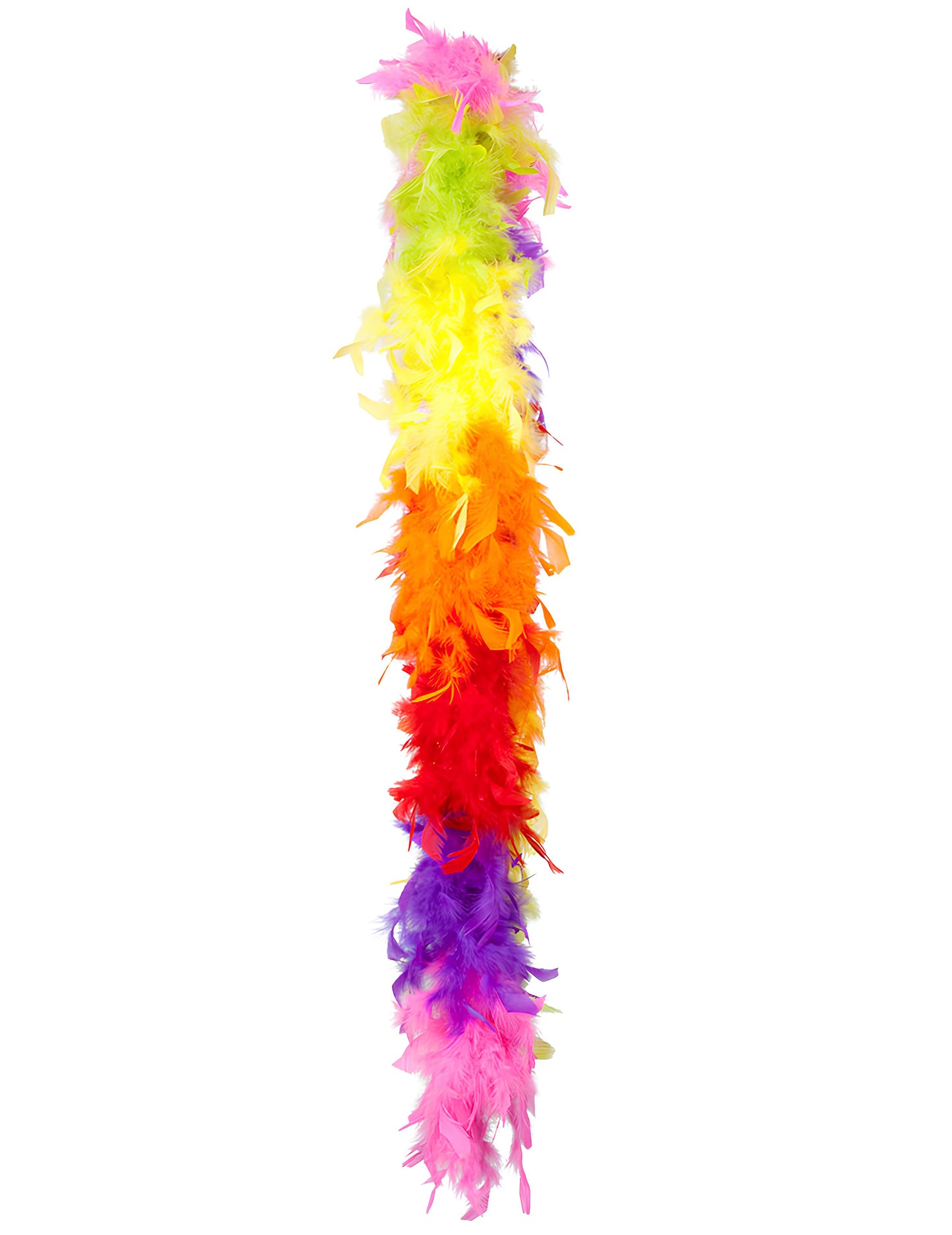 Boa arc-en-ciel 50 g