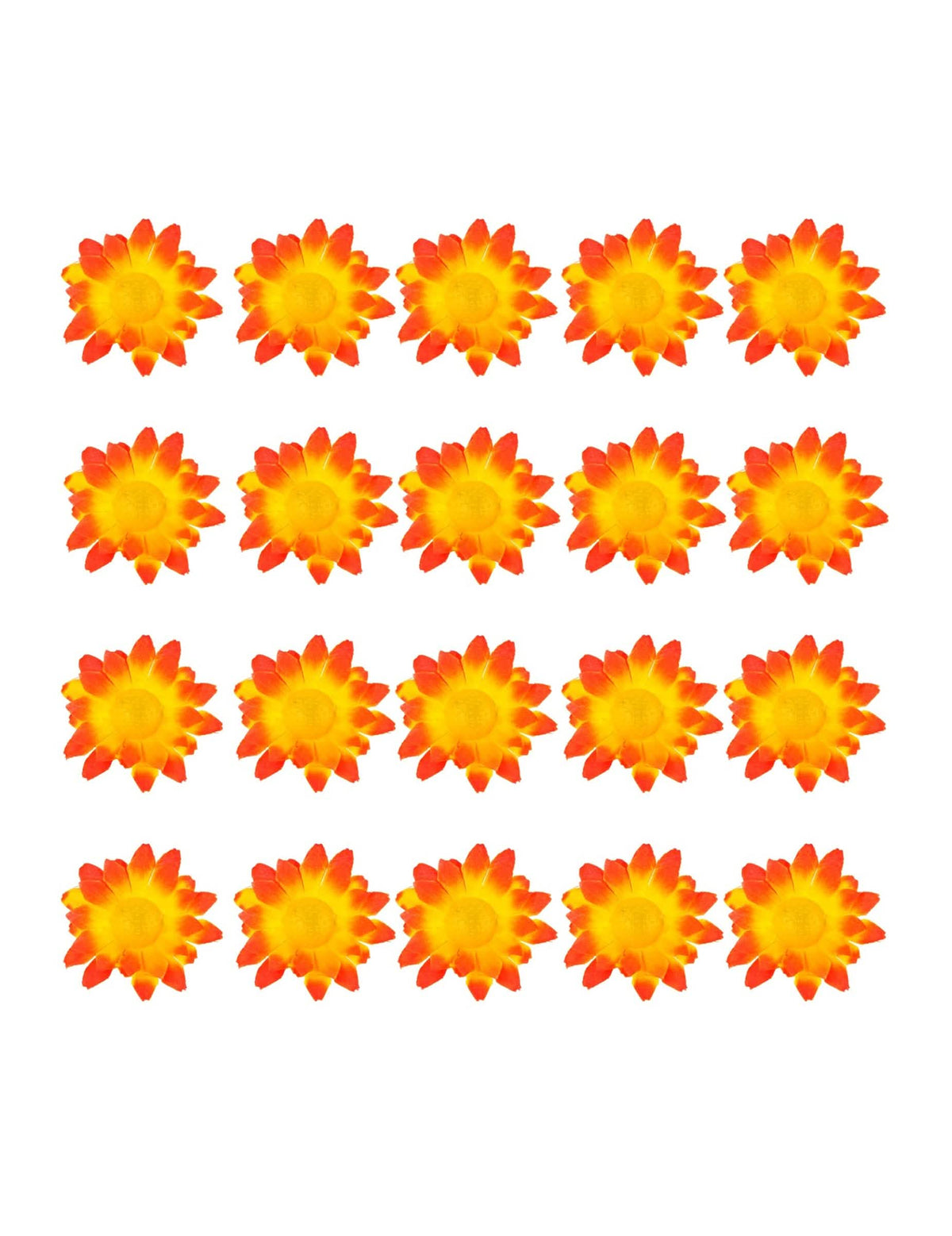 Vue d'ensemble du contenu de la boite de 20 fleurs marguerite jaune orangé
