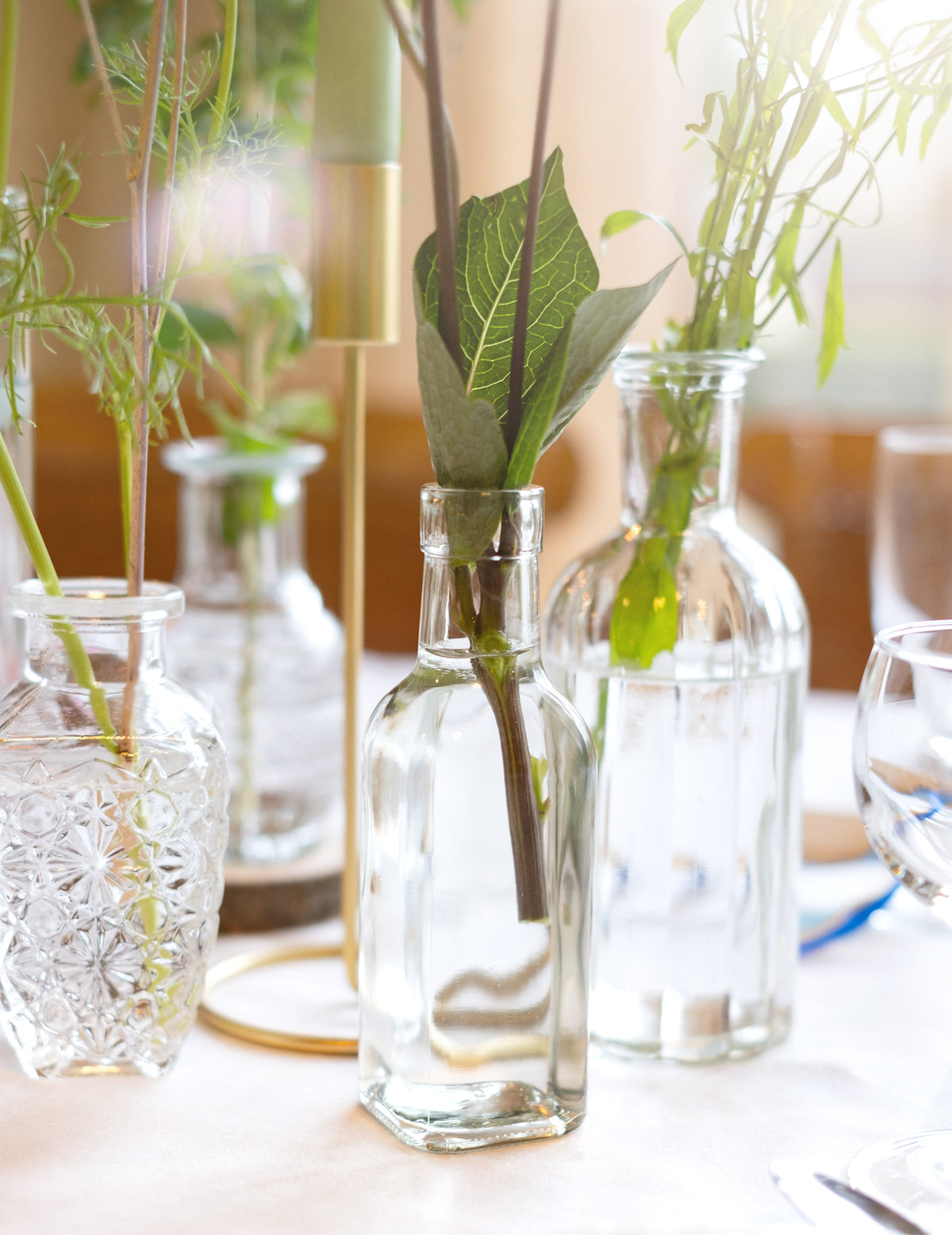 Gros plan sur le feuillage de la bouteille en verre carrée transparente