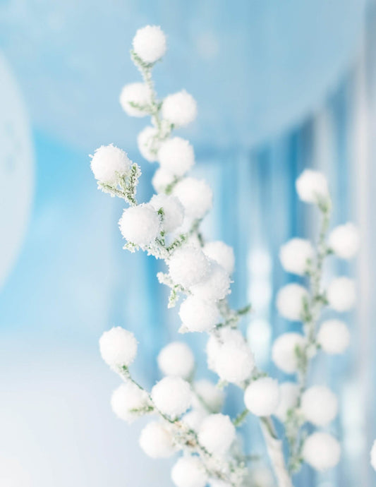 Détail de la texture de la branche boules givrées pour décoration de Noël blanches