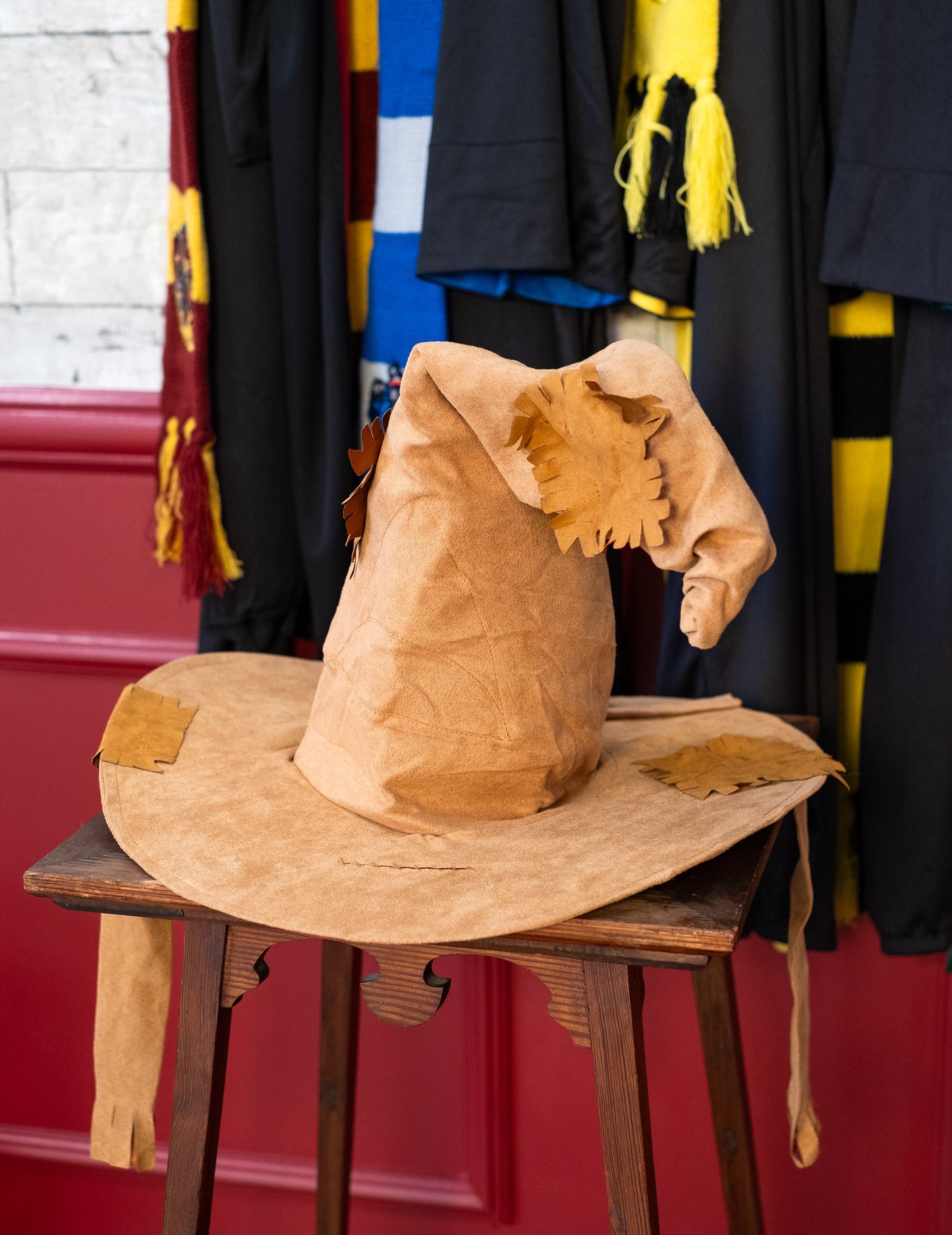 Izbira luksuz Harry Potter Adult