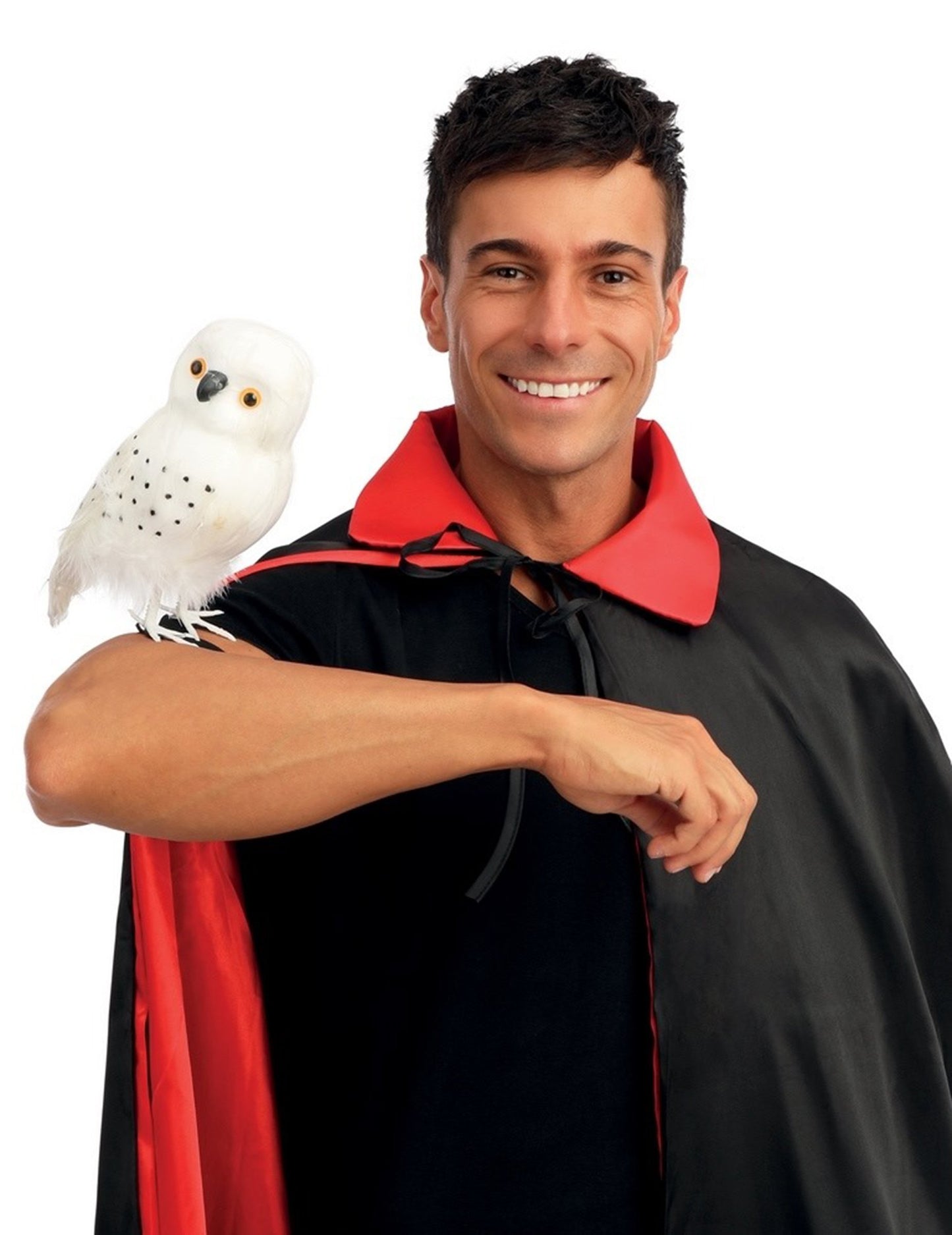 Sorcierjeva bela sova