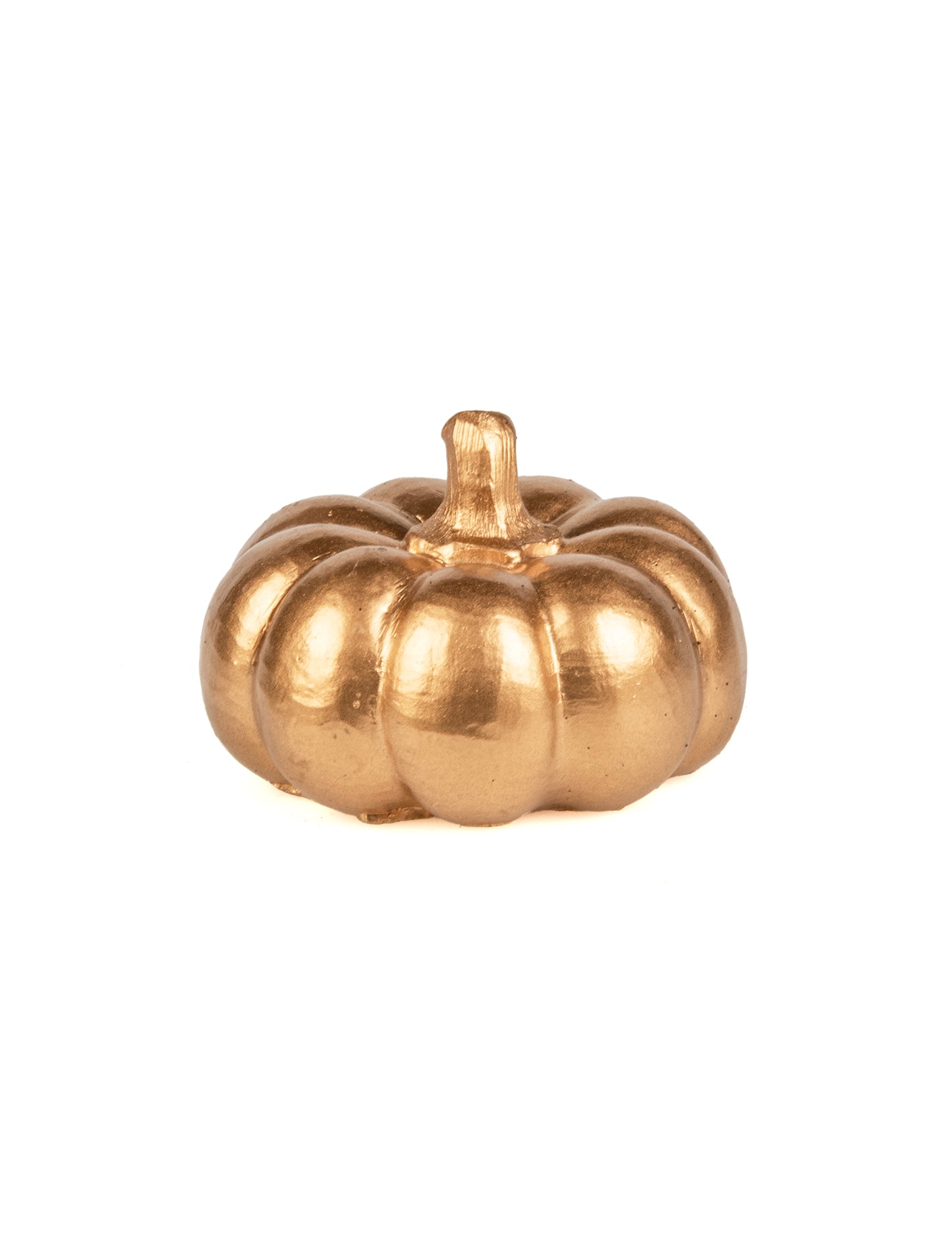 Zlata smola buča 6,5 cm