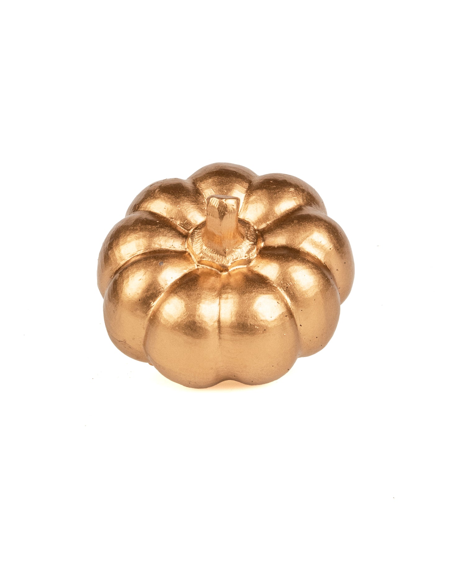 Zlata smola buča 6,5 cm