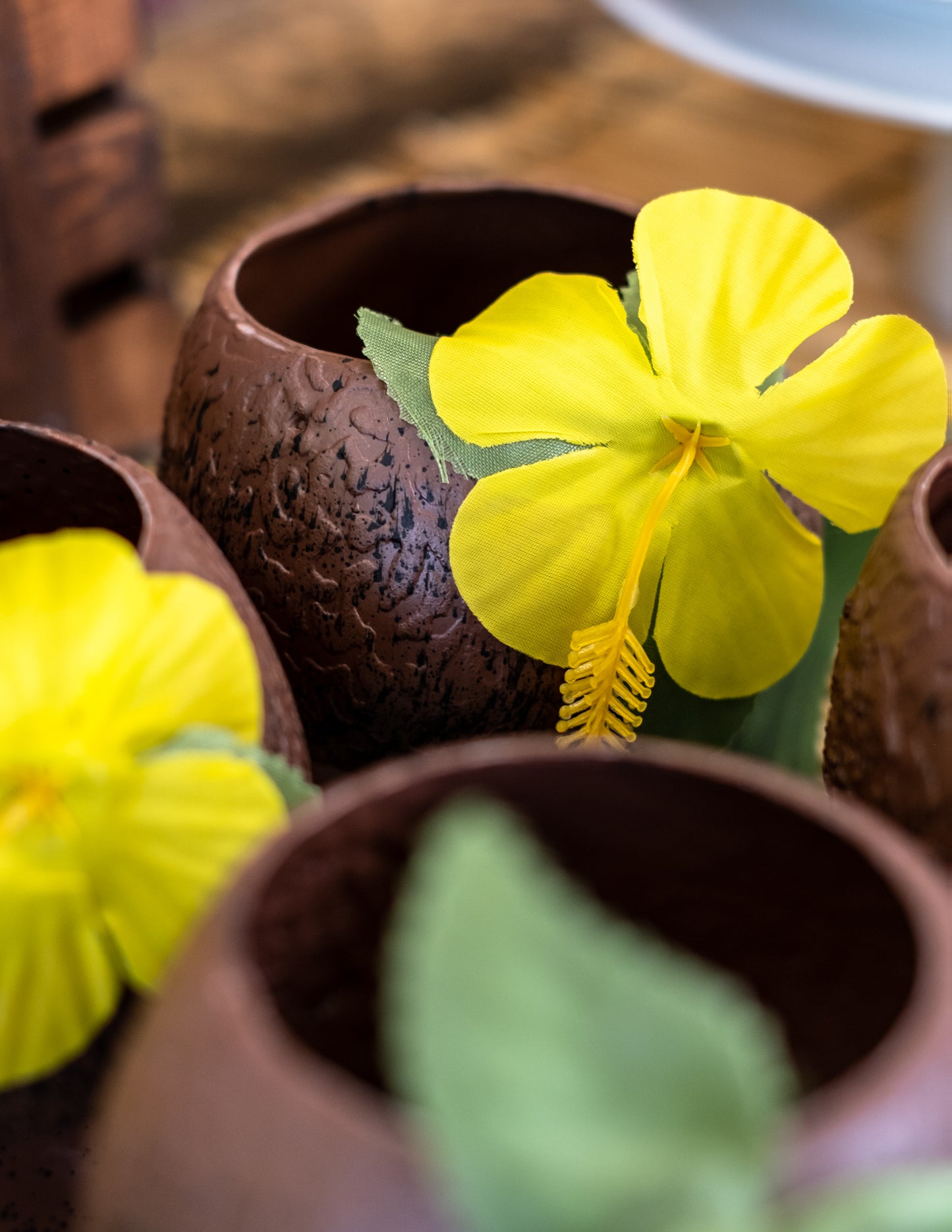 Havajski pokal tropski kokos