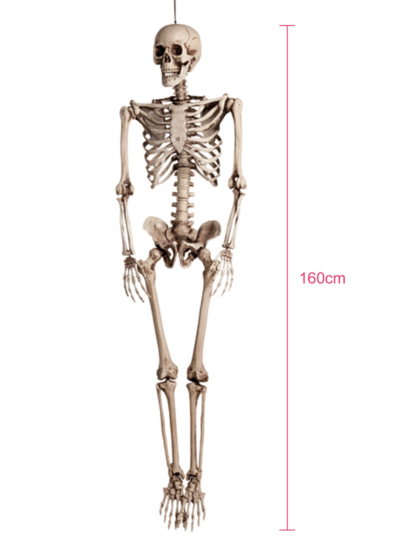 Dekoracija za obešanje človeškega tait okostja 160 cm
