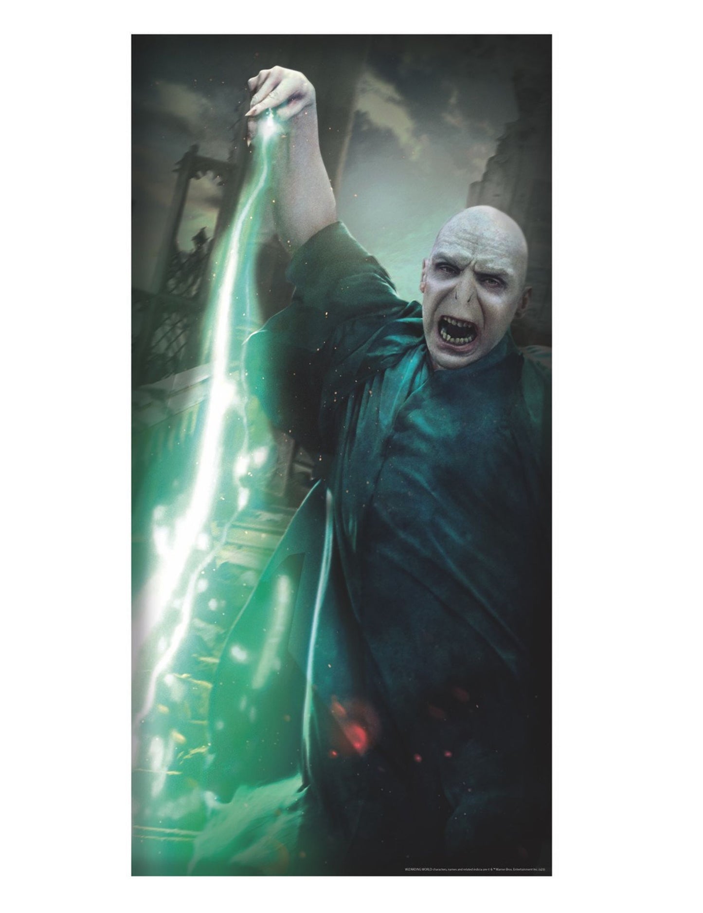 Dekoracija vrat Voldemort Harry Potter