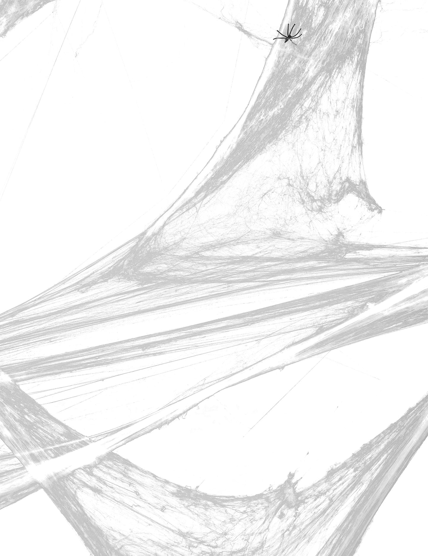 Dekoracija platna belega pajka s pajki 20 g noč čarovnic