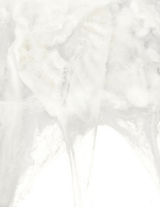 Gros plan sur la texture de la toile d'araignée pour Halloween