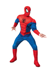 Masques de Spiderman pour Adultes