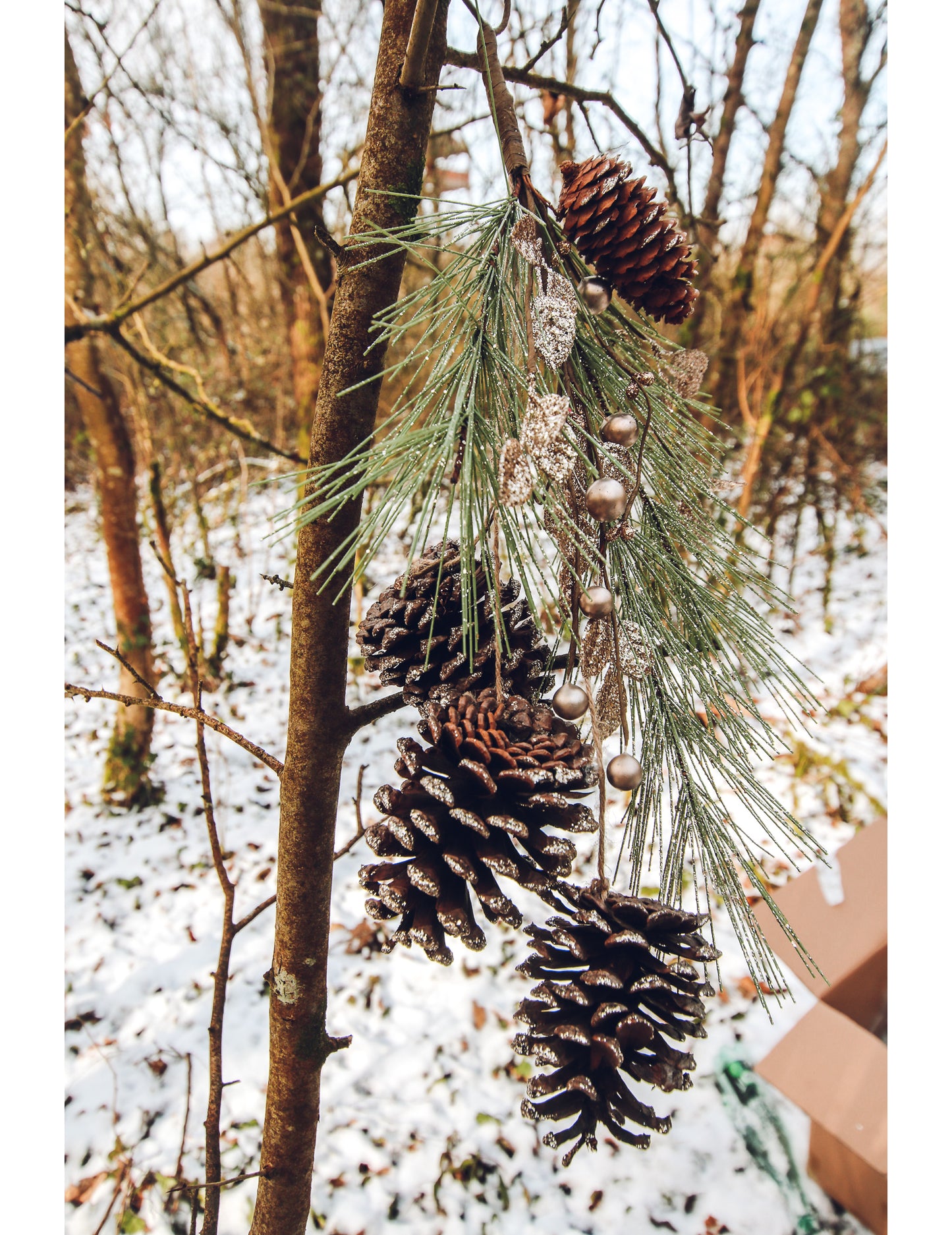 Spust iz borovih storžev in šampanjskih bleščic 45 cm zlata jelka