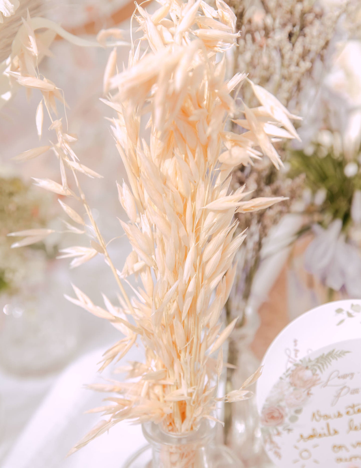 Naravni posušeni ovseni storž 100g 73 cm podeželsko vzdušje