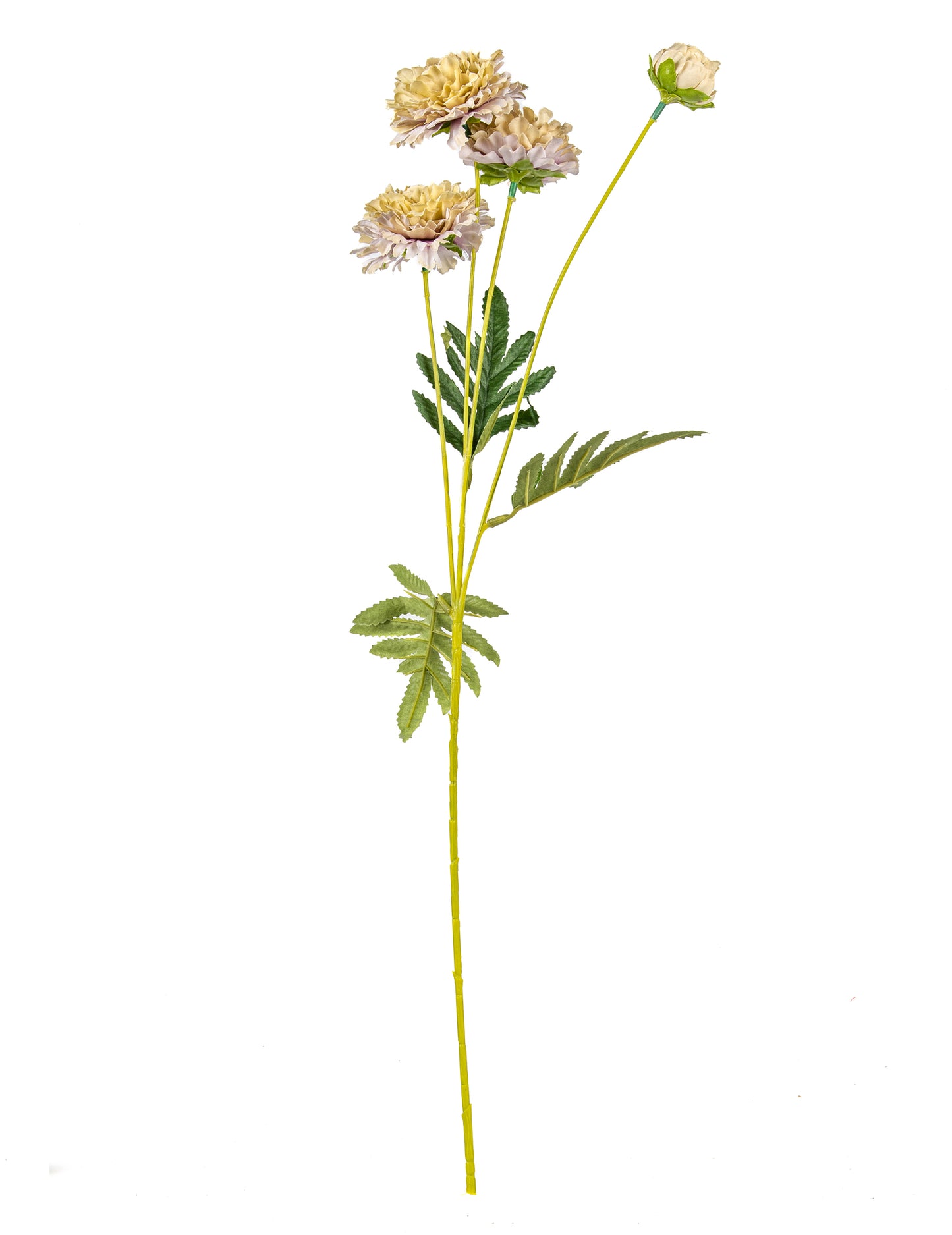 Vue de profil des fleurs de zinnia artificielles pour bouquet