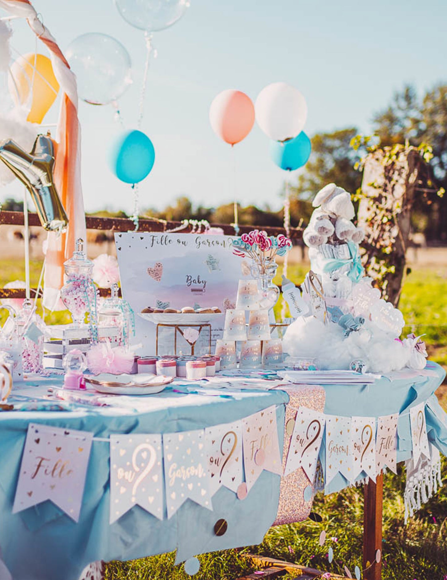 Girlanda z 11 roza, modrimi in zlatimi zastavicami za deklico ali fantka, 13 x 18 cm razkritje spola