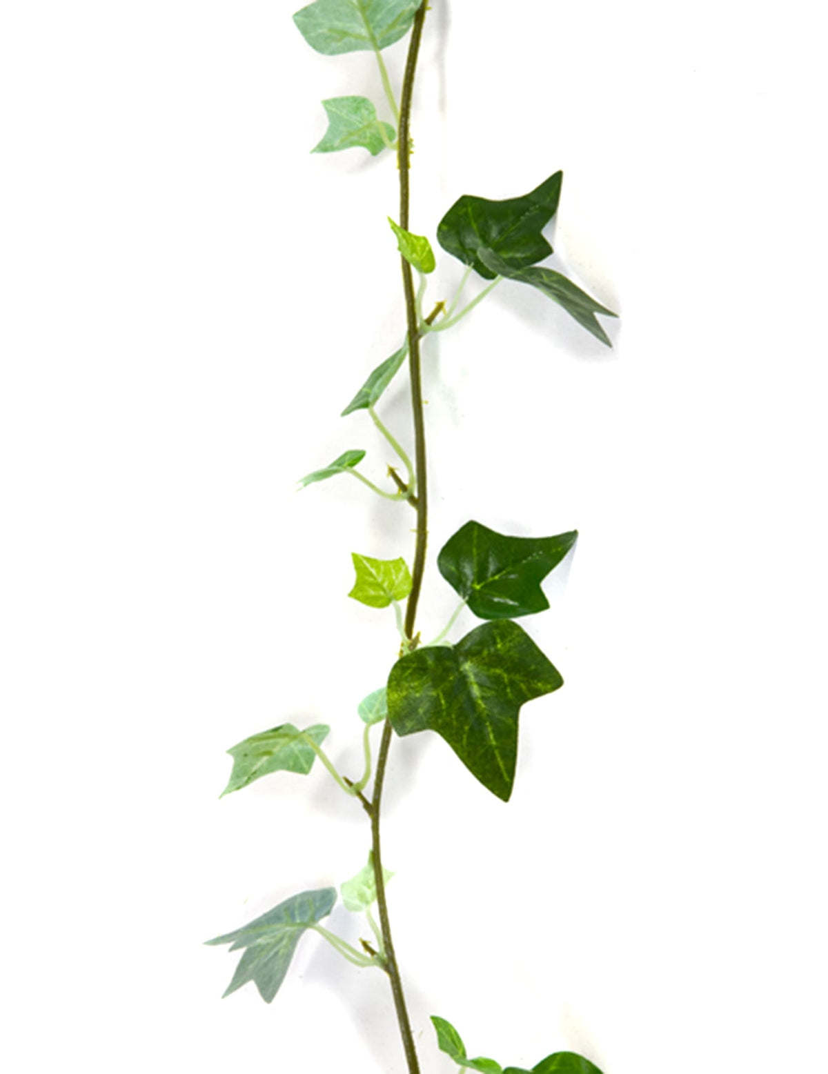 Guirlande de lierre artificielle mariage pour décoration verte