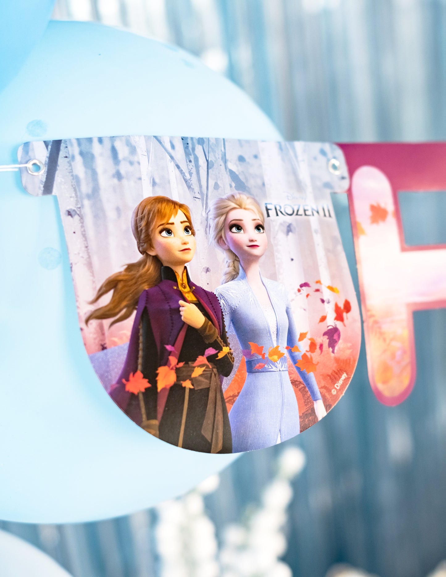 Détail du fanion avec Anna et Elsa de la guirlande happy birthday La Reine des Neiges 2