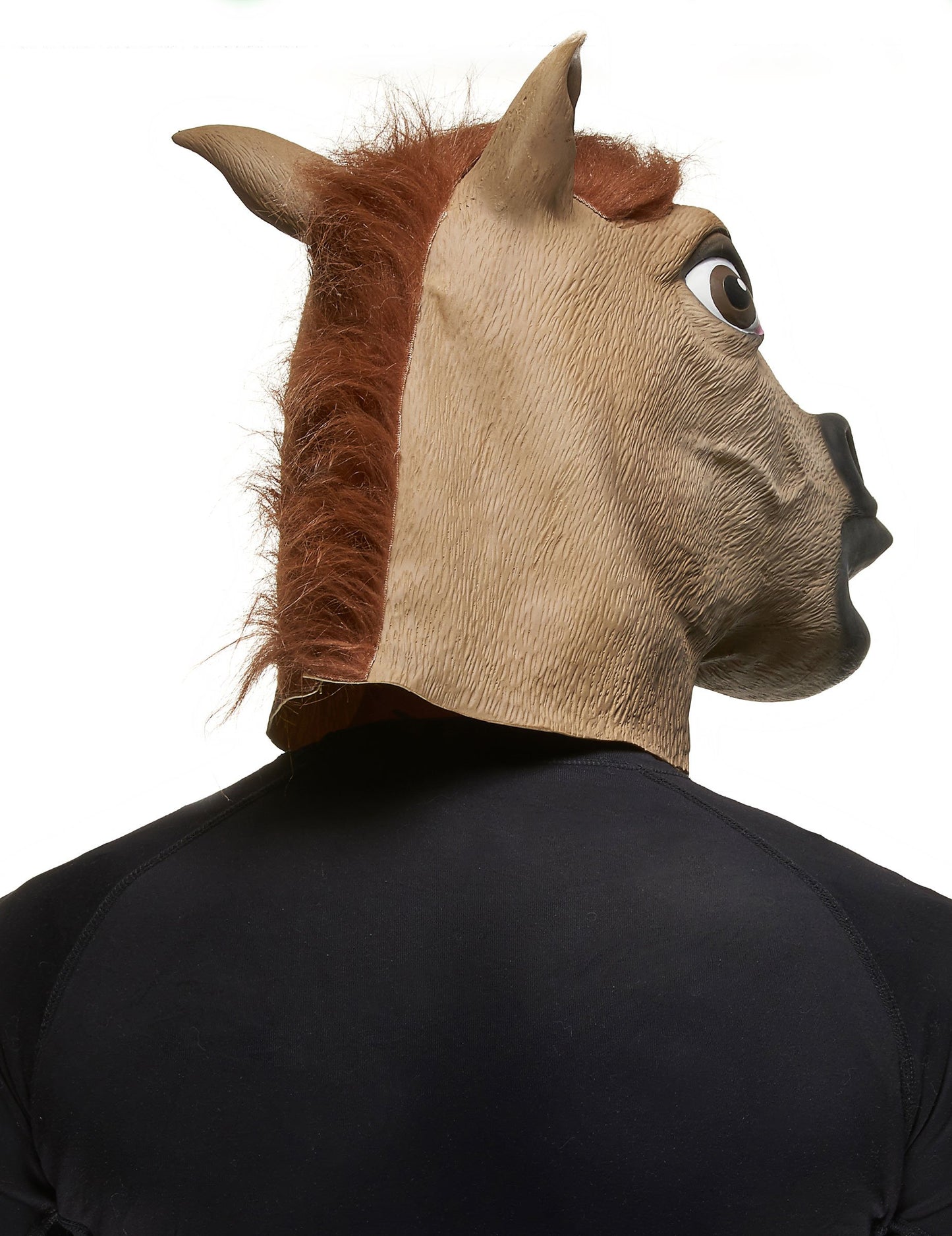 Profilna slika konjske maske