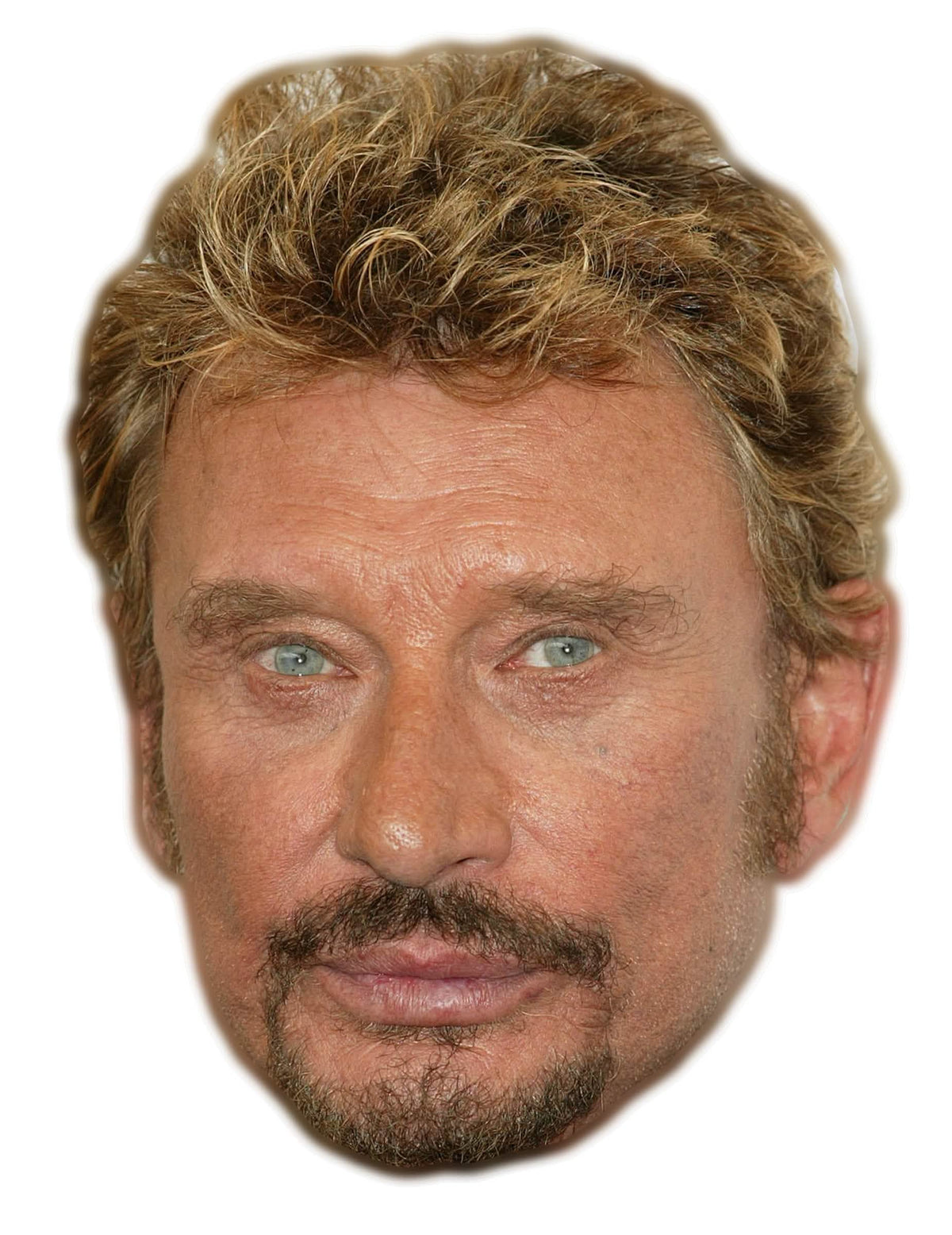 Realistična kartonska maska Johnny Halliday za odrasli
