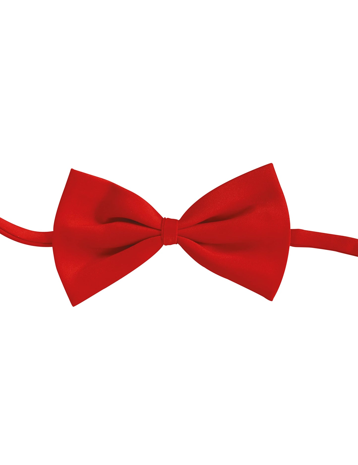 Vue de face du noeud papillon rouge pour adulte