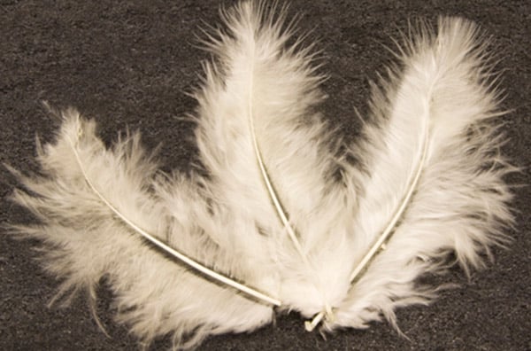 20 okrasnih peres v barvi slonovine 5,5 cm za poroko