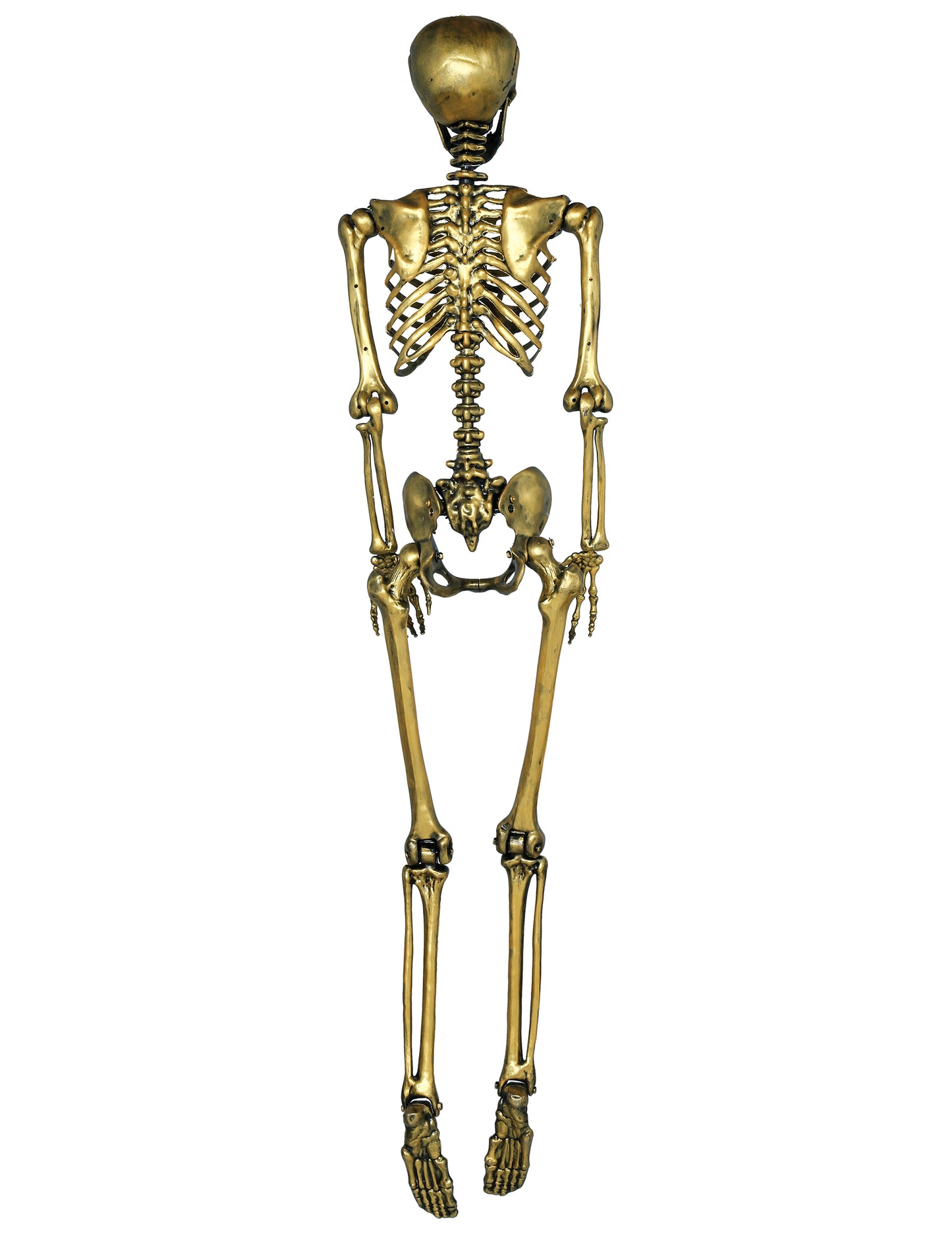Vue de dos du squelette à suspendre pour Halloween doré